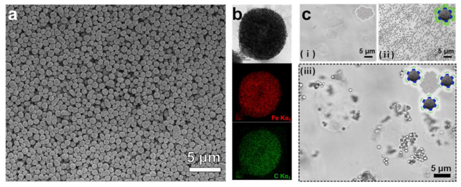Nanomaterials 11 00532 g002 Nanomaterials 11 00532 g002