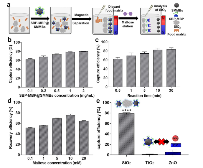 Nanomaterials 11 00532 g003 Nanomaterials 11 00532 g003
