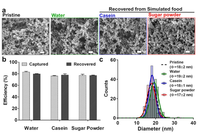 Nanomaterials 11 00532 g004 Nanomaterials 11 00532 g004