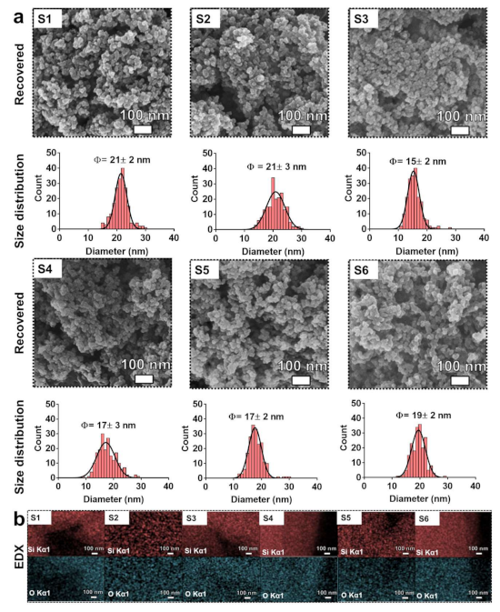 Nanomaterials 11 00532 g005 Nanomaterials 11 00532 g005