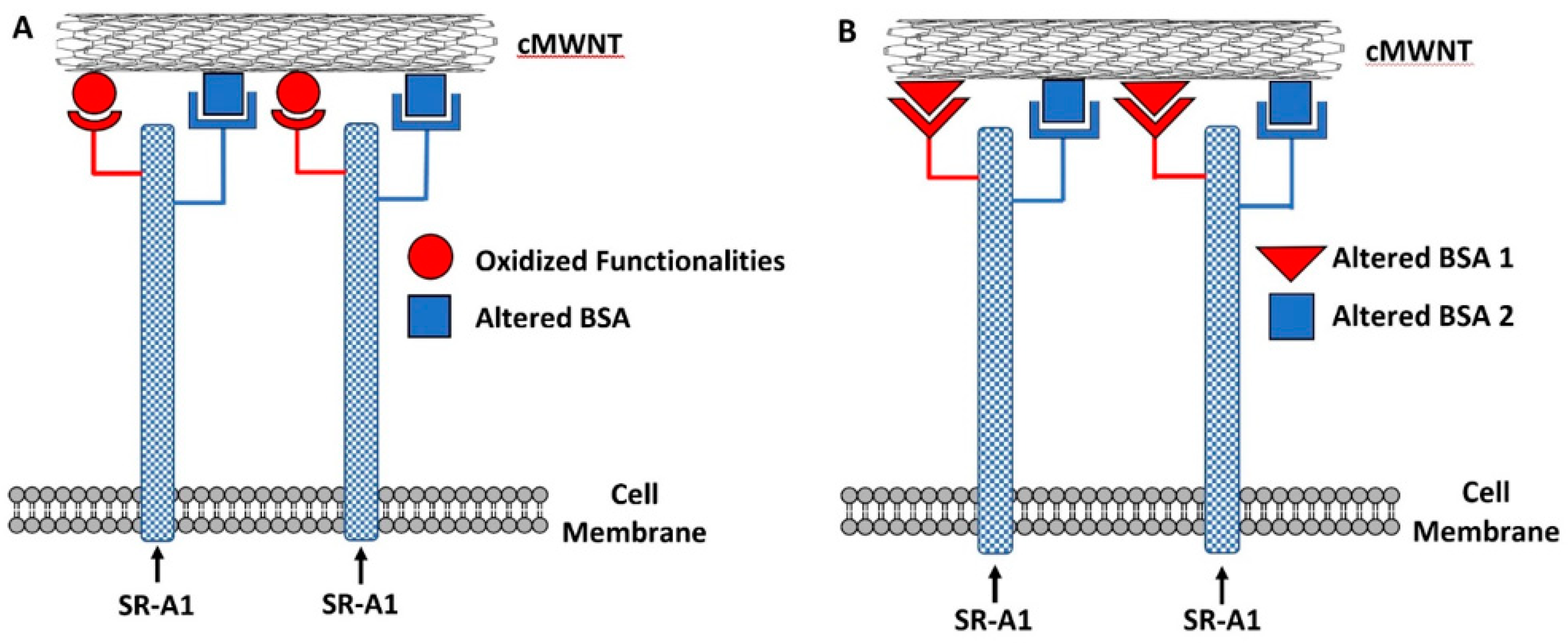 Nanomaterials 11 00539 g010