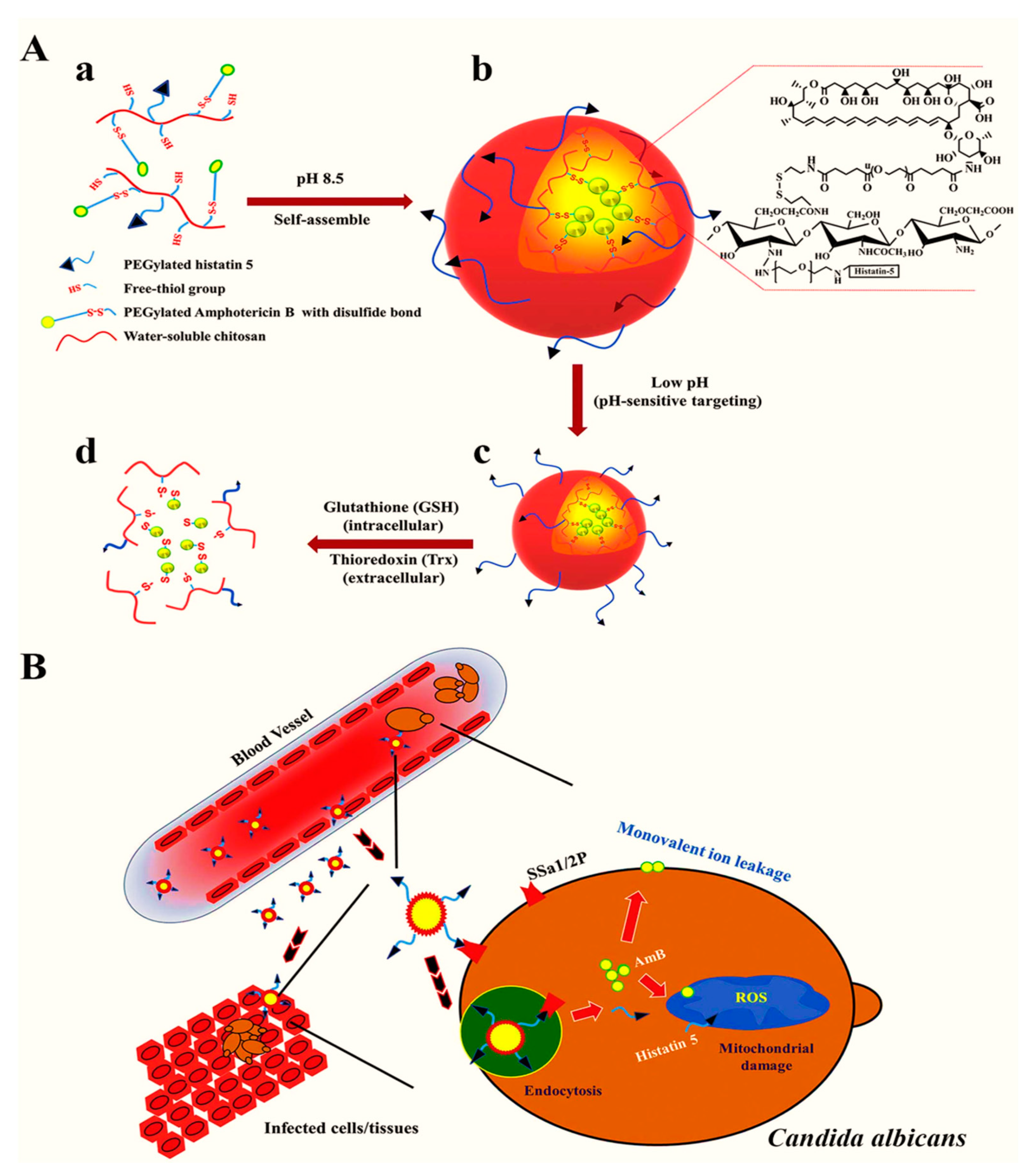 Nanomaterials 11 00546 g003
