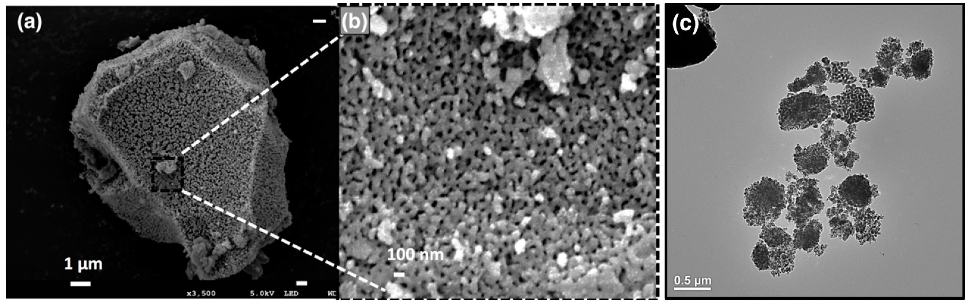 Nanomaterials 11 00553 g001