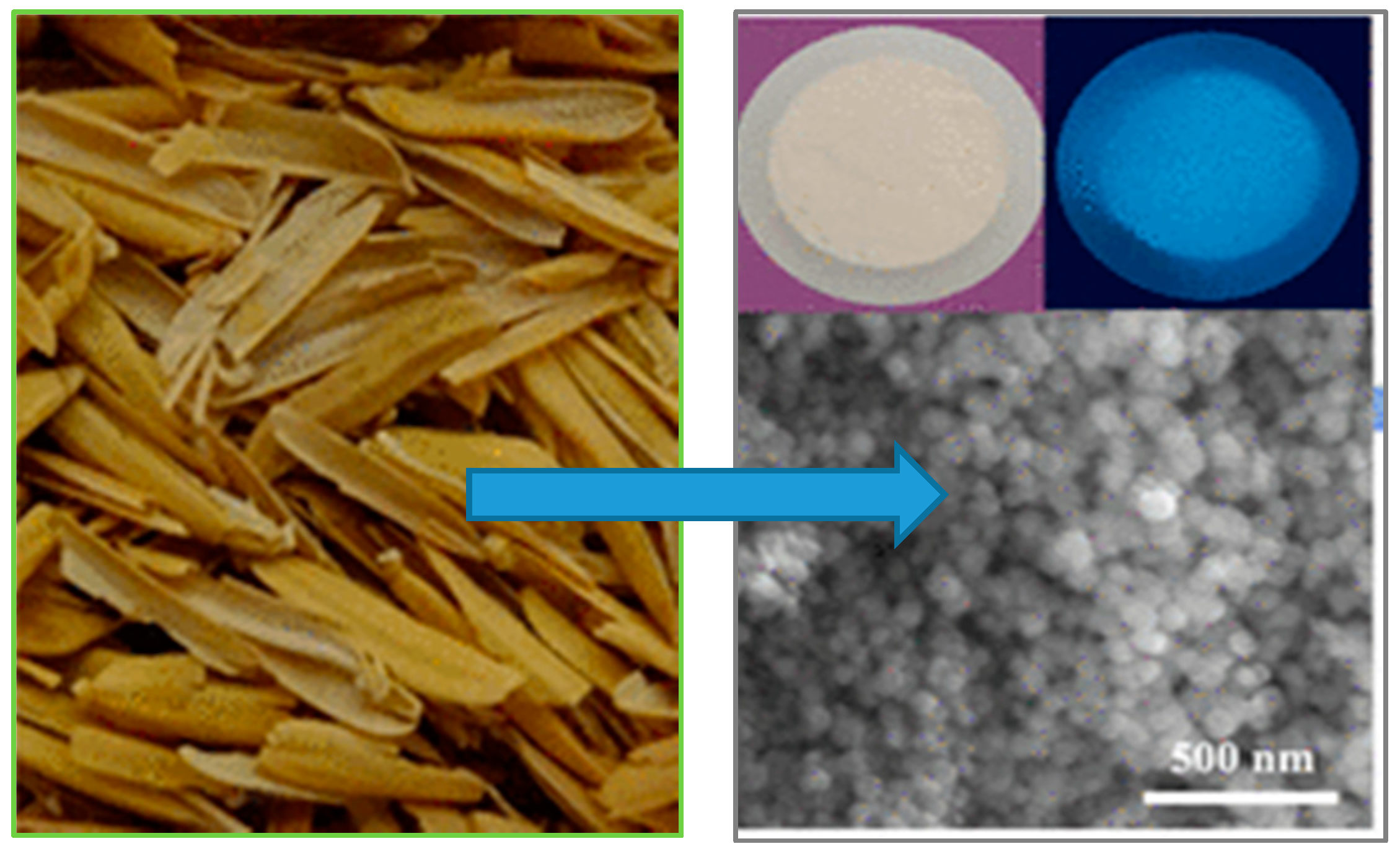Nanomaterials 11 00553 g003
