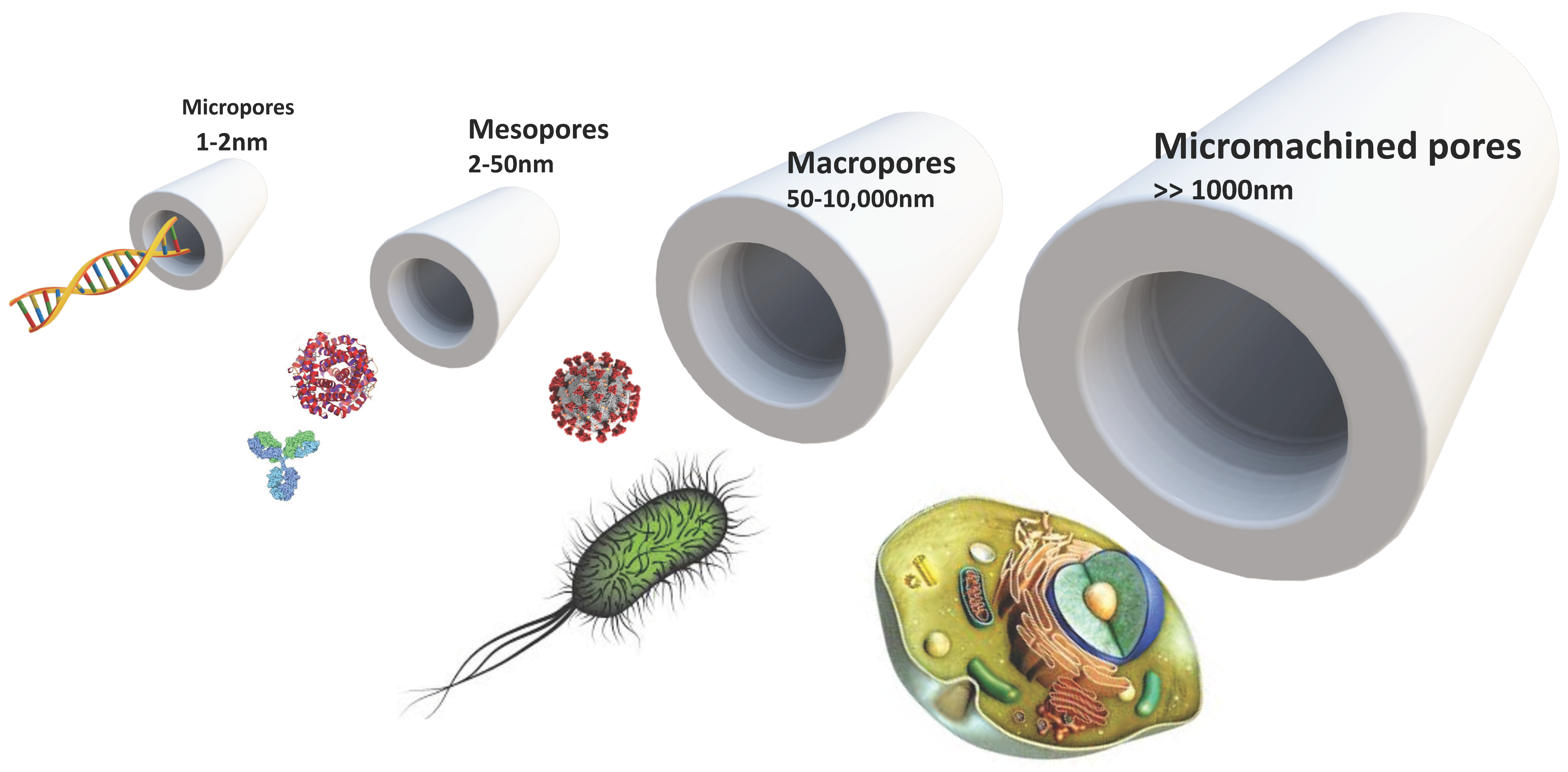 Nanomaterials 11 00553 g004