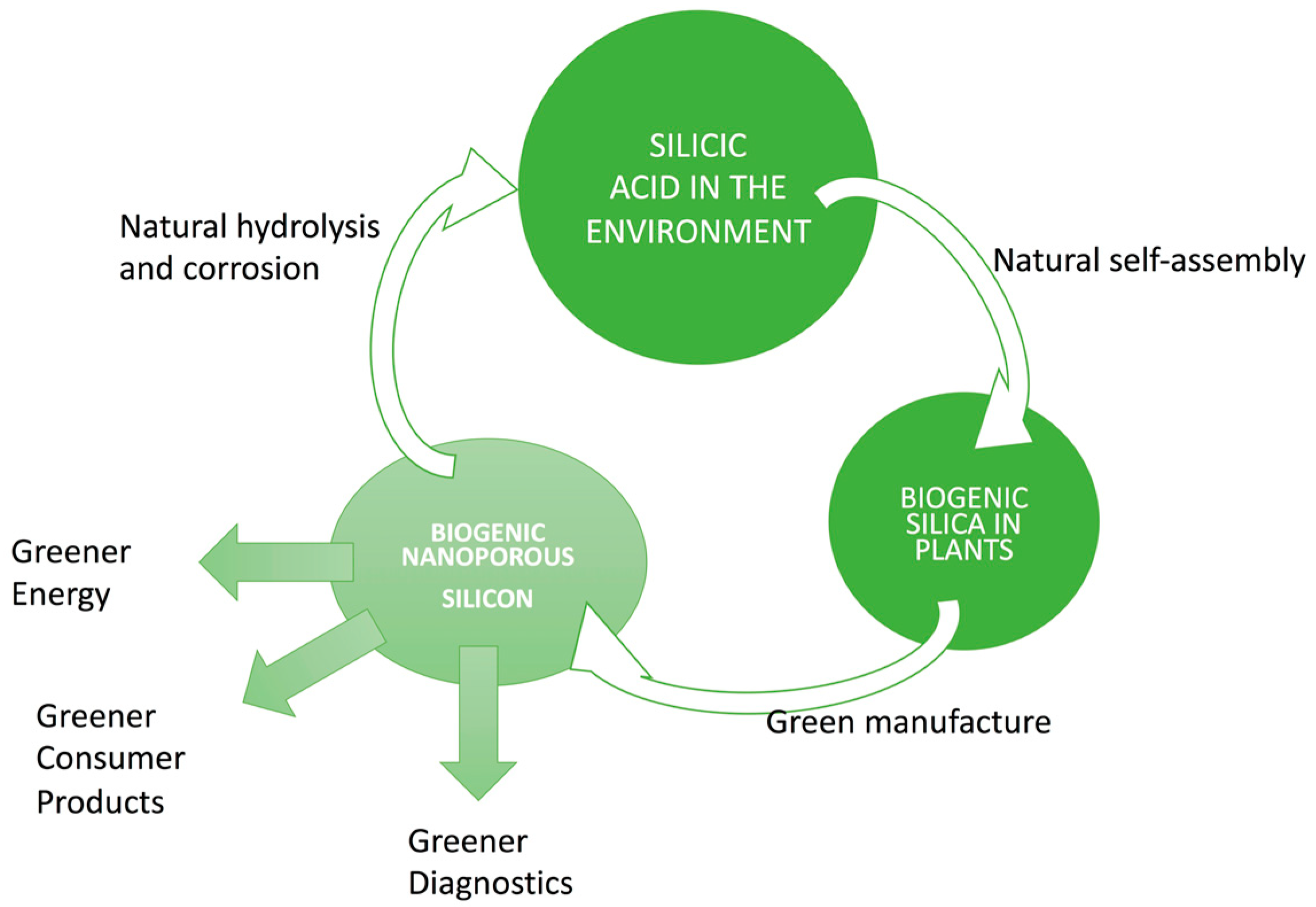 Nanomaterials 11 00553 g007
