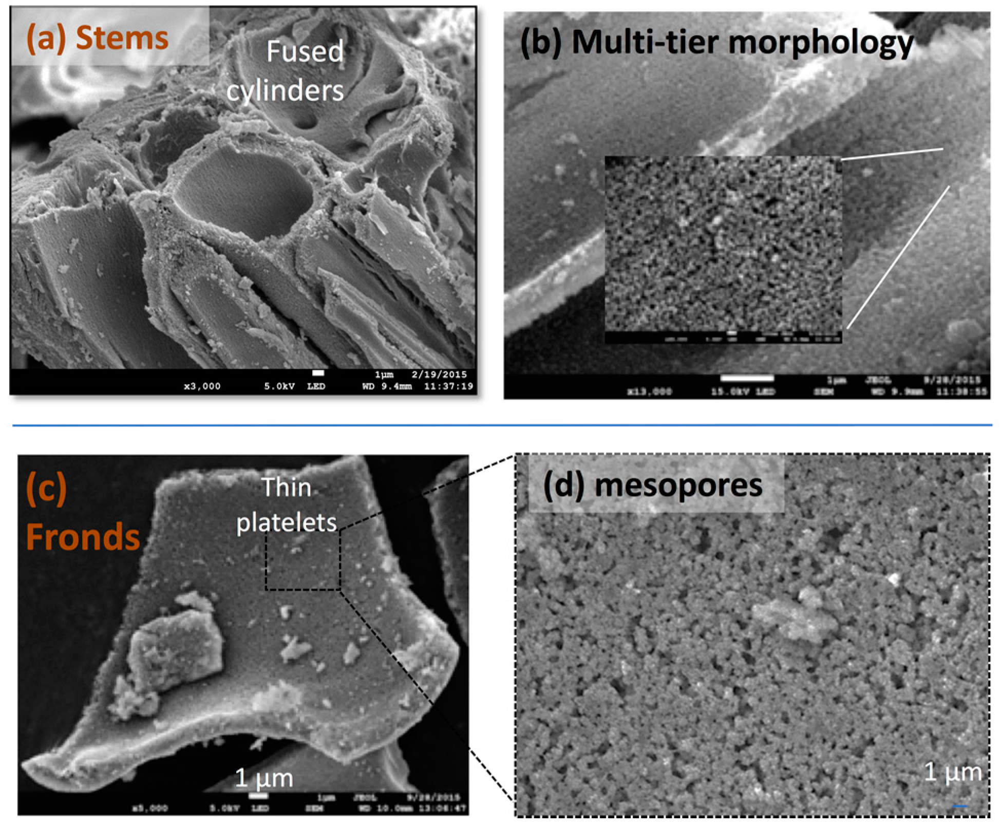 Nanomaterials 11 00553 g009