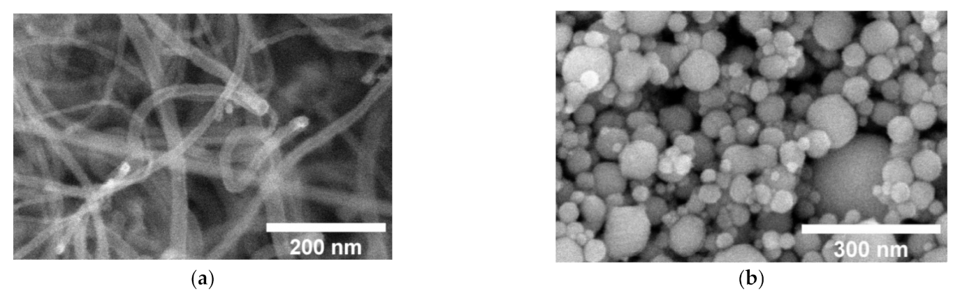 Nanomaterials 11 00555 g001