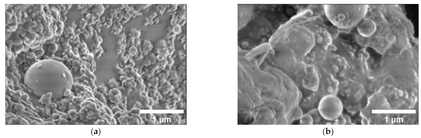 Nanomaterials 11 00555 g002