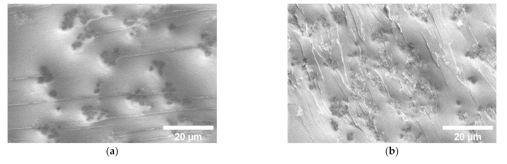 Nanomaterials 11 00555 g004a