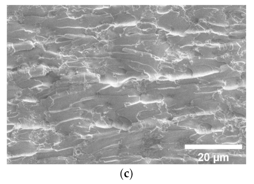 Nanomaterials 11 00555 g004b