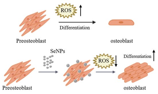 Nanomaterials February 21 Browse Articles