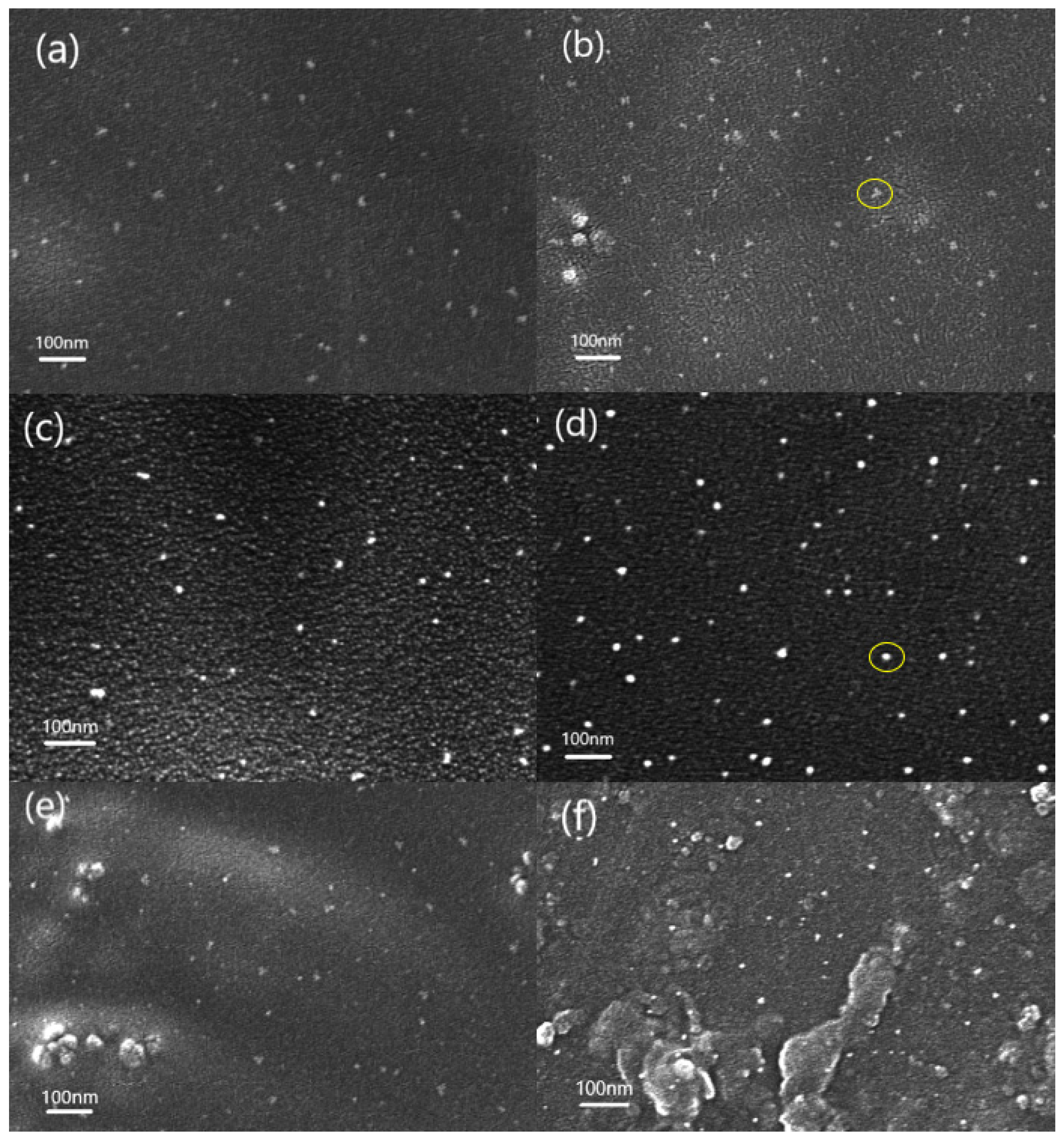 Nanomaterials 11 00562 g002