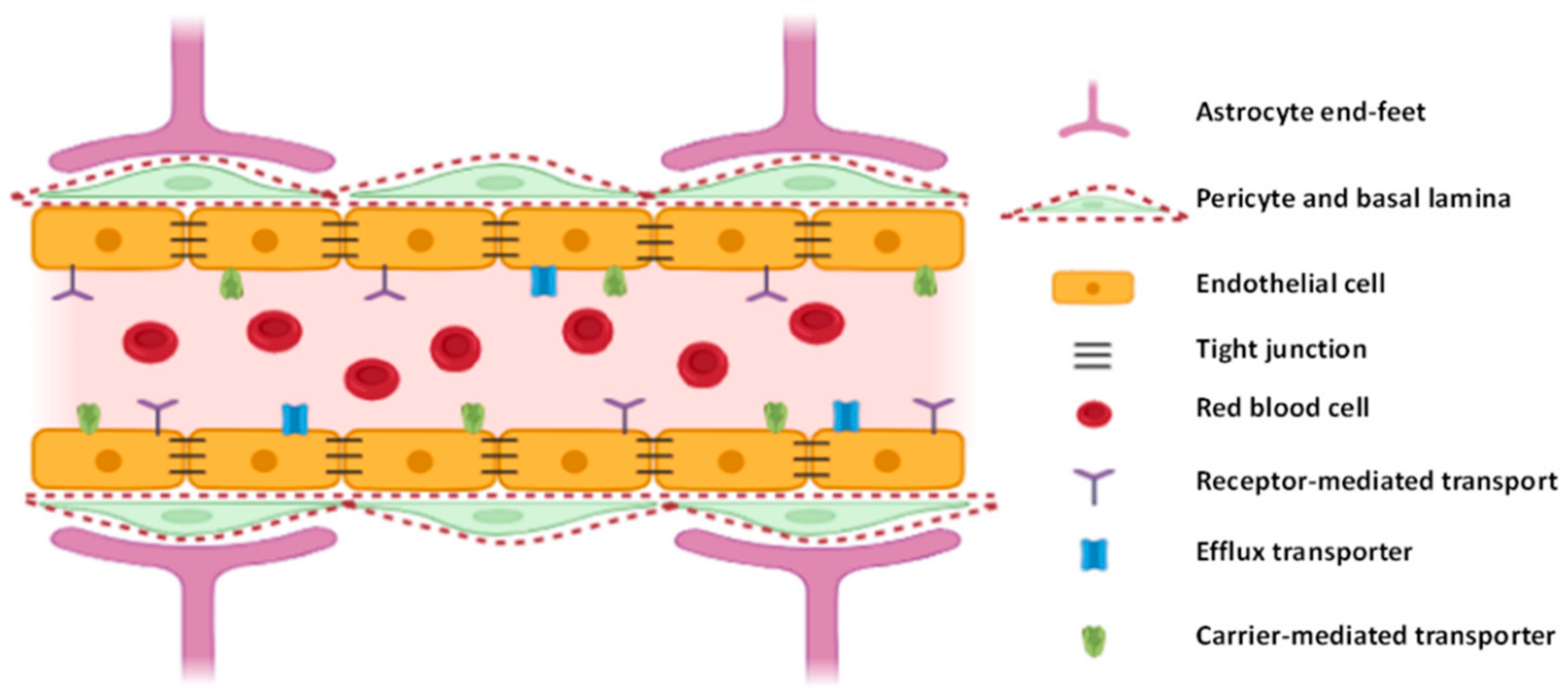 Nanomaterials 11 00563 g001