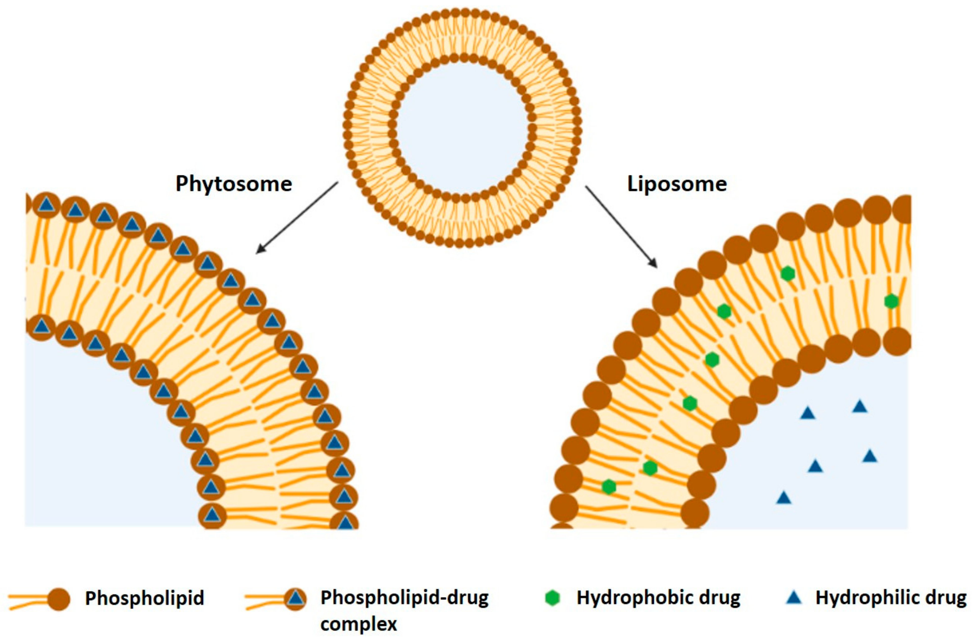 Nanomaterials 11 00563 g004