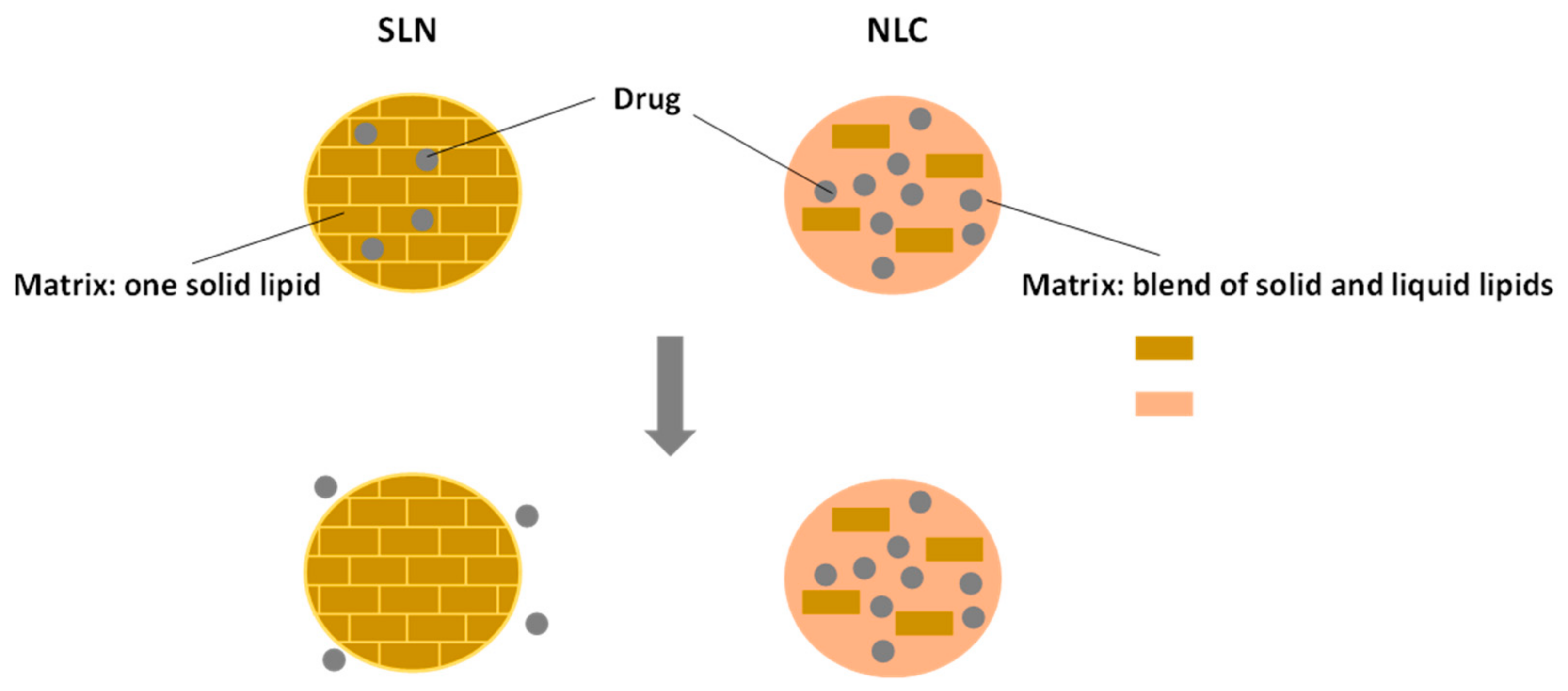 Nanomaterials 11 00563 g006