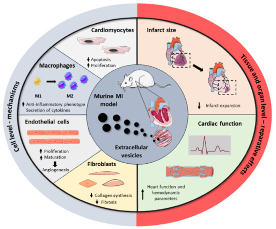 Nanomaterials 11 00570 g002 550