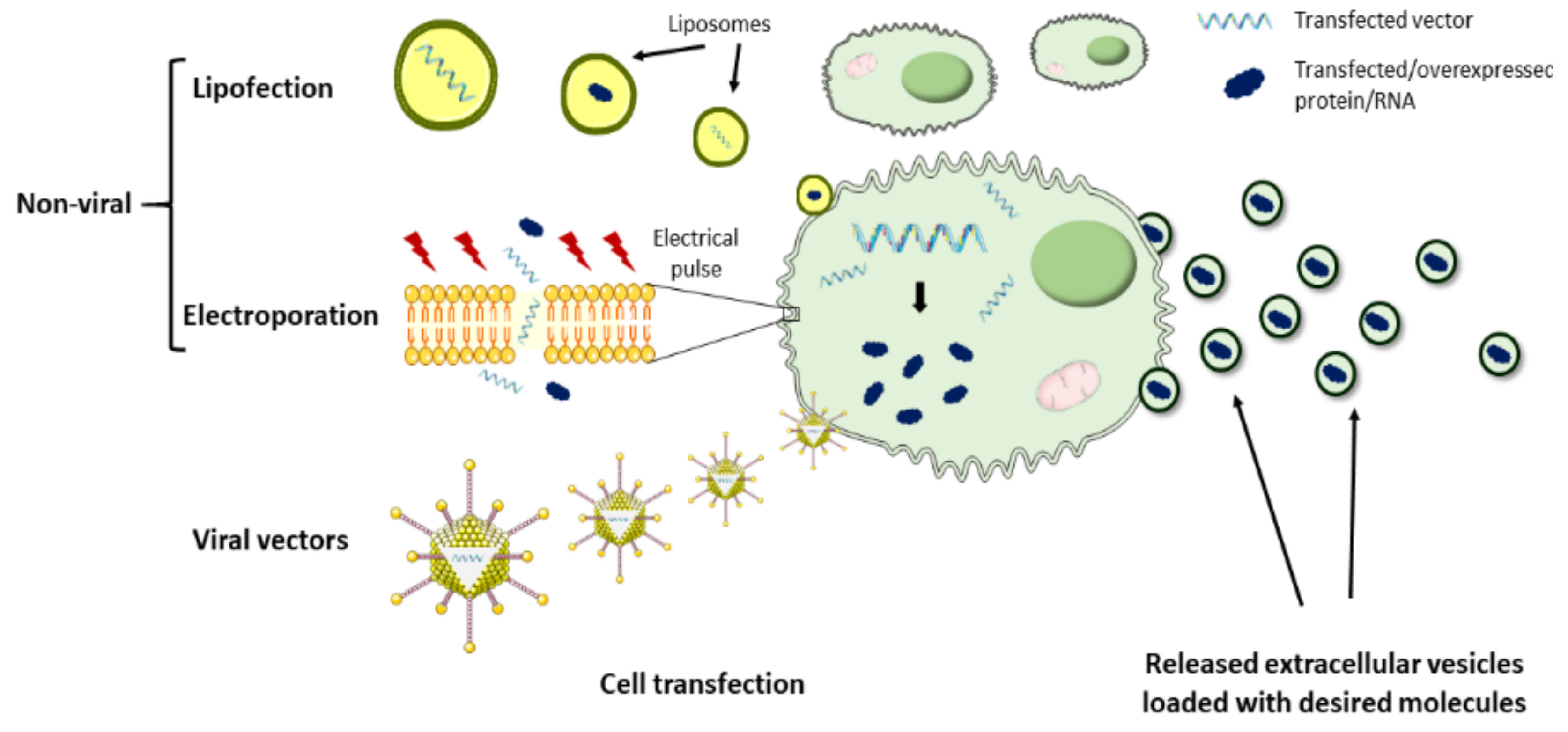 Nanomaterials 11 00570 g003 Nanomaterials 11 00570 g003