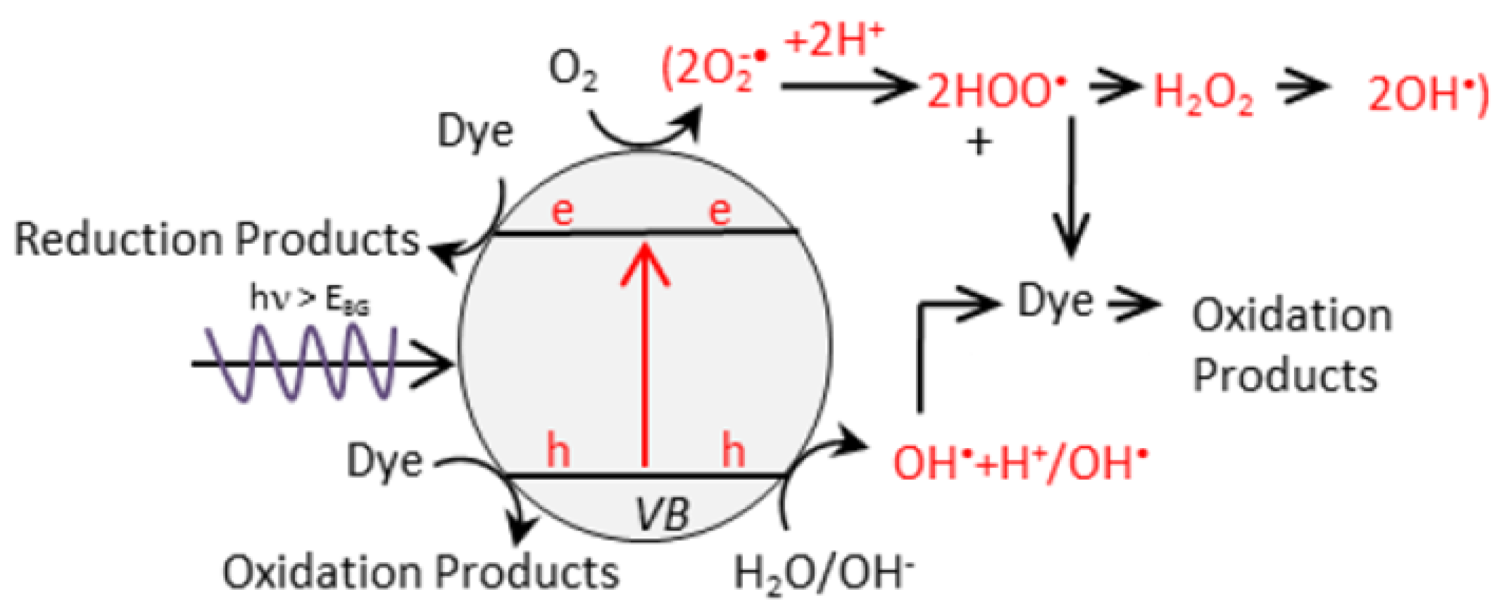 Nanomaterials 11 00572 g002