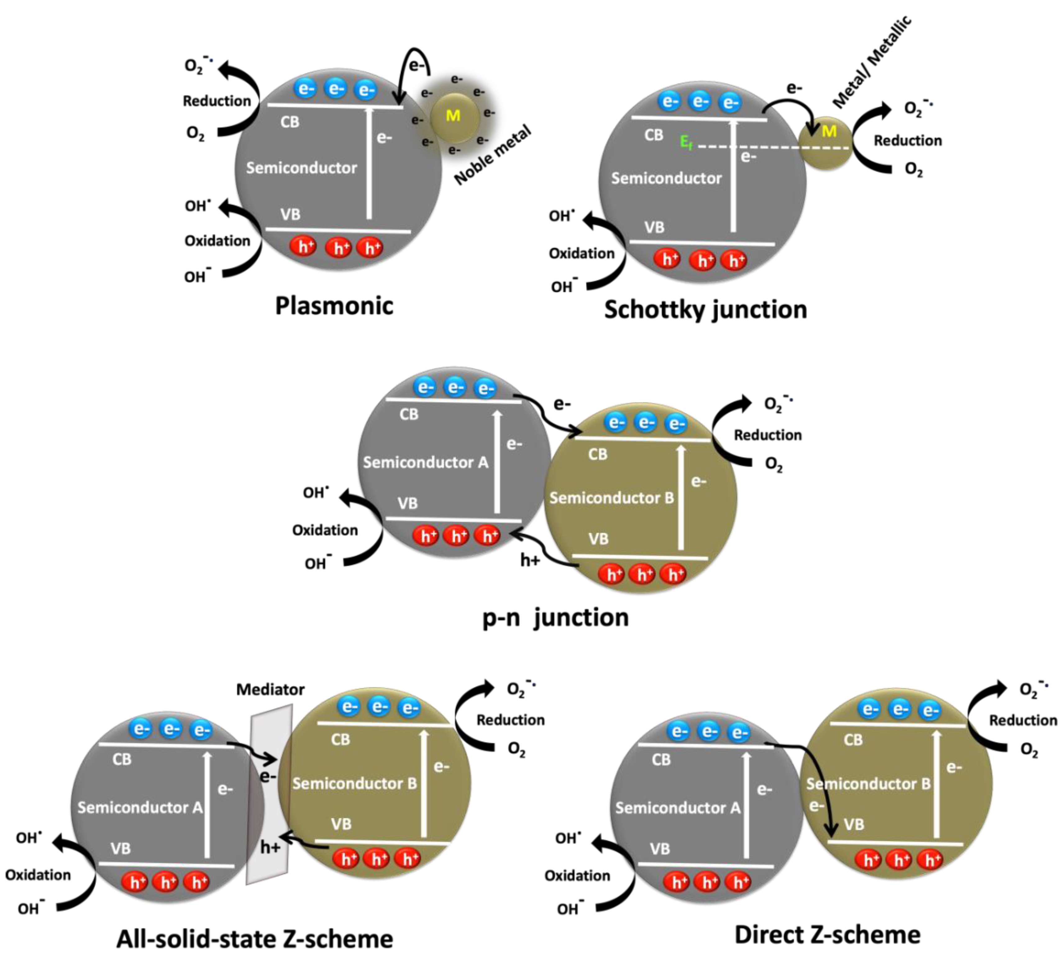 Nanomaterials 11 00572 g003
