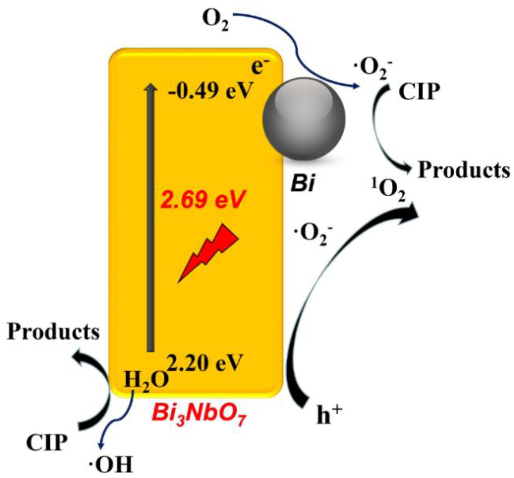 Nanomaterials 11 00572 g004