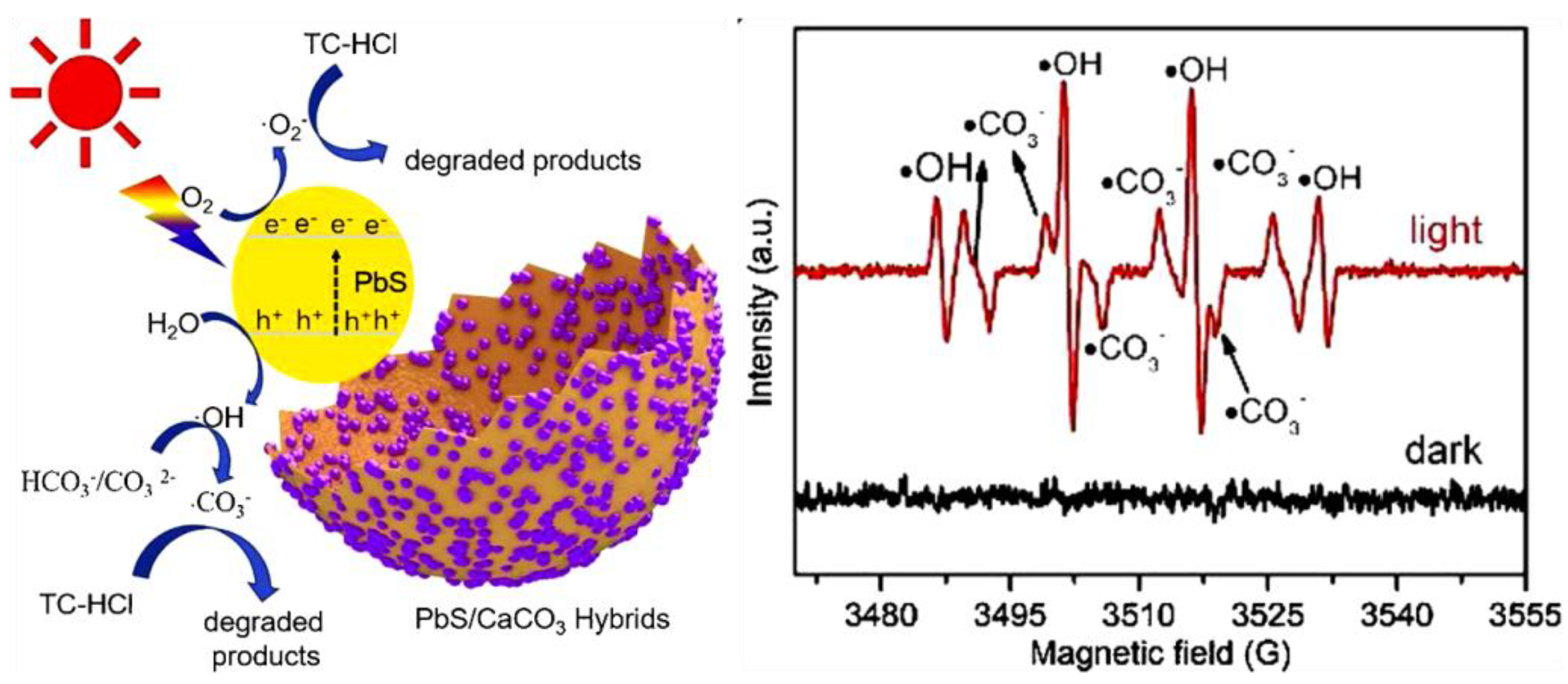 Nanomaterials 11 00572 g005