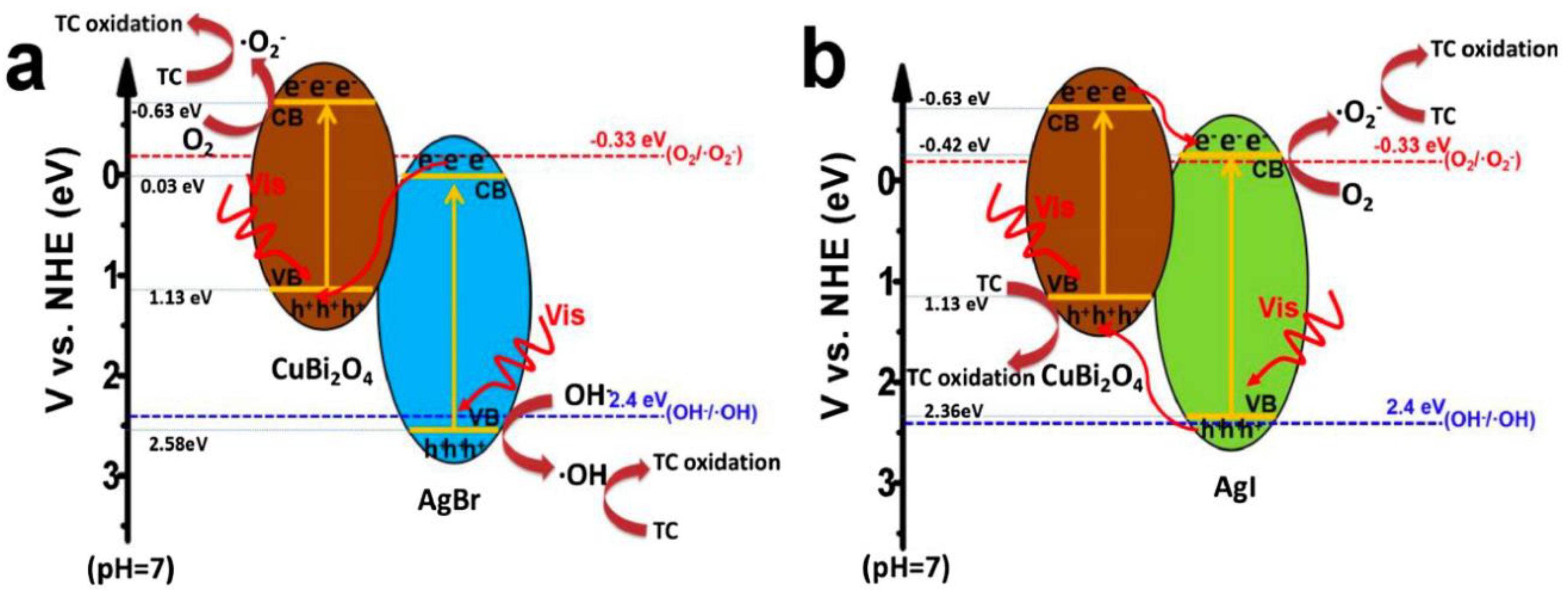 Nanomaterials 11 00572 g007