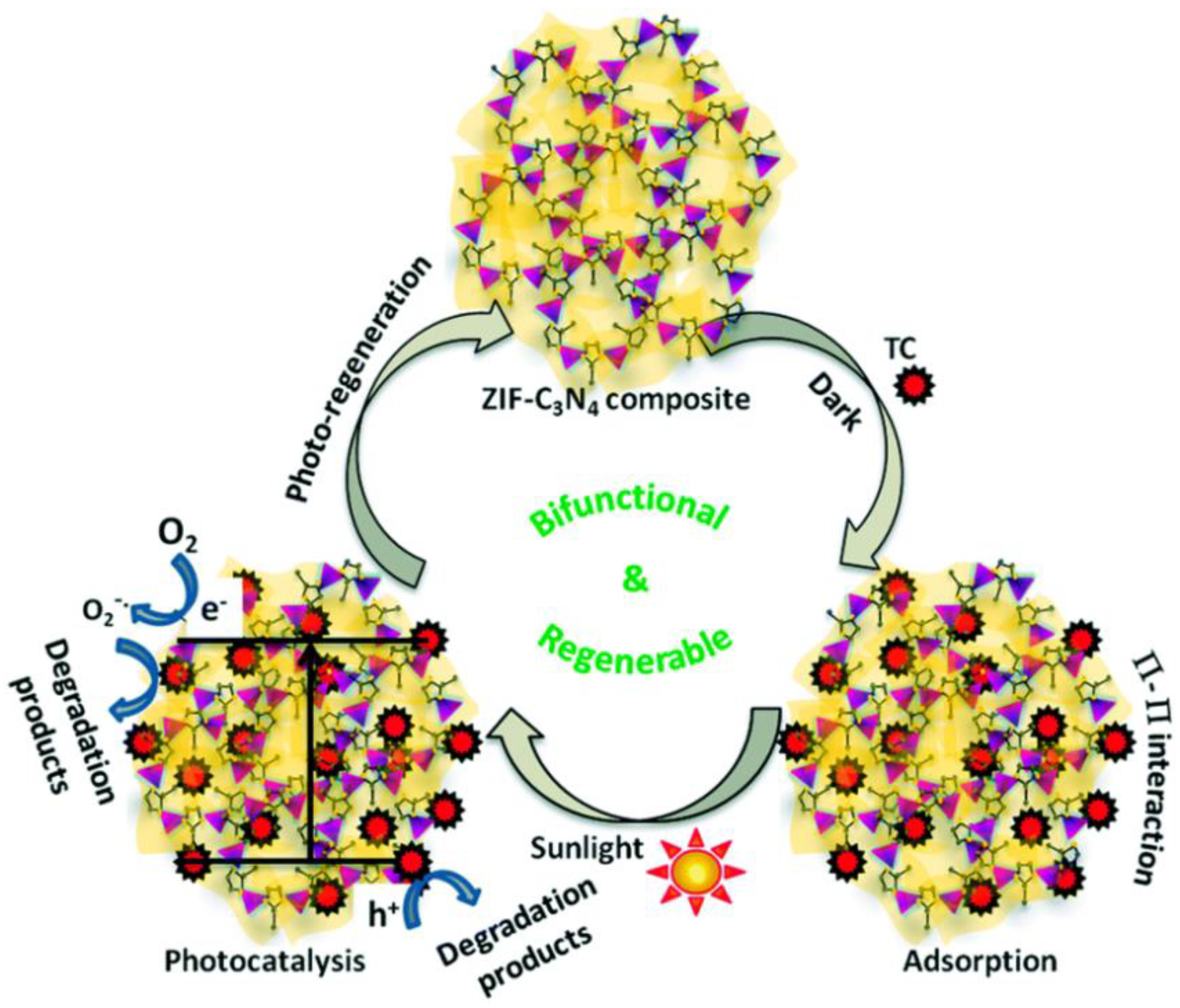 Nanomaterials 11 00572 g008