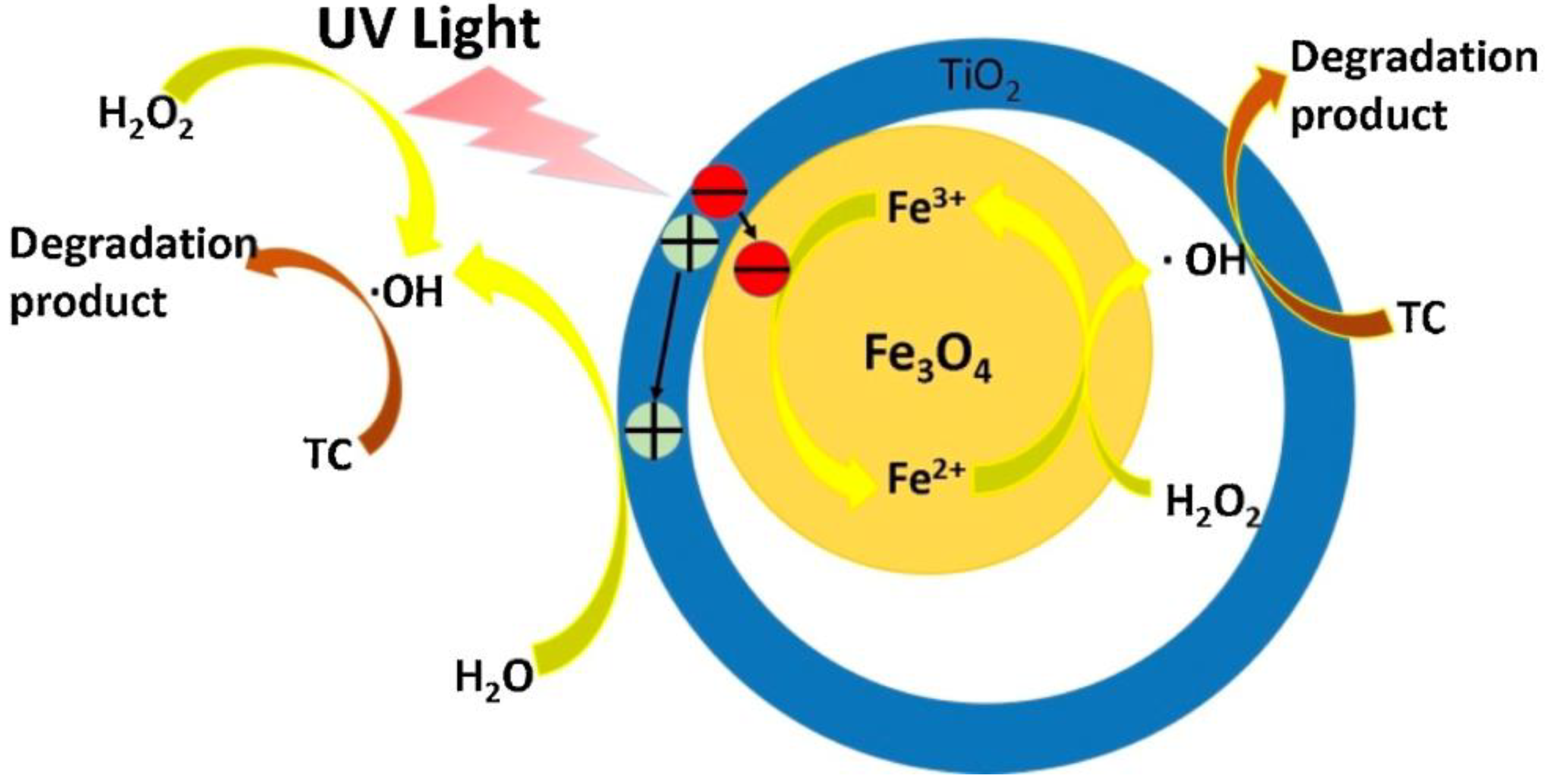 Nanomaterials 11 00572 g009