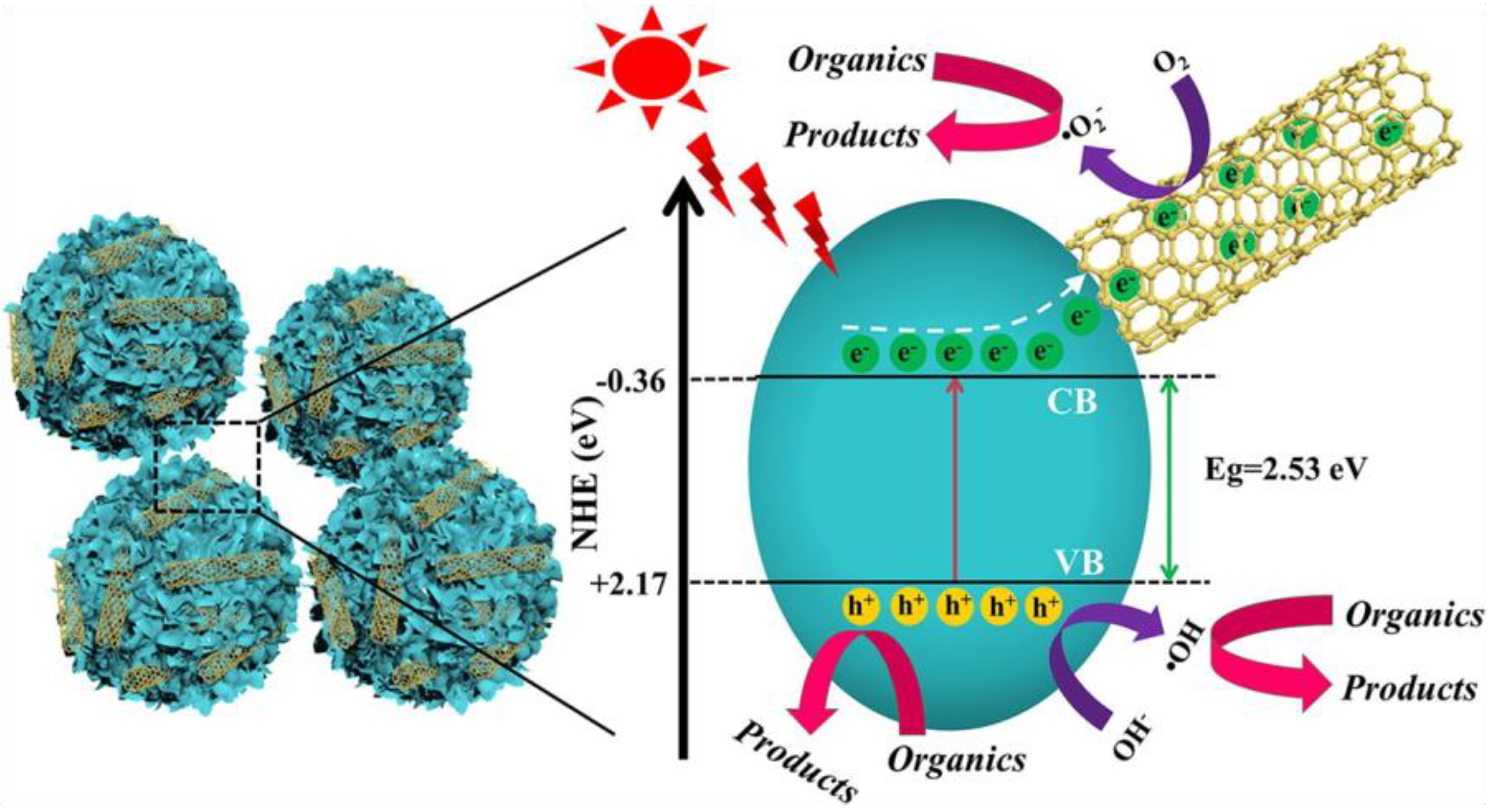 Nanomaterials 11 00572 g010