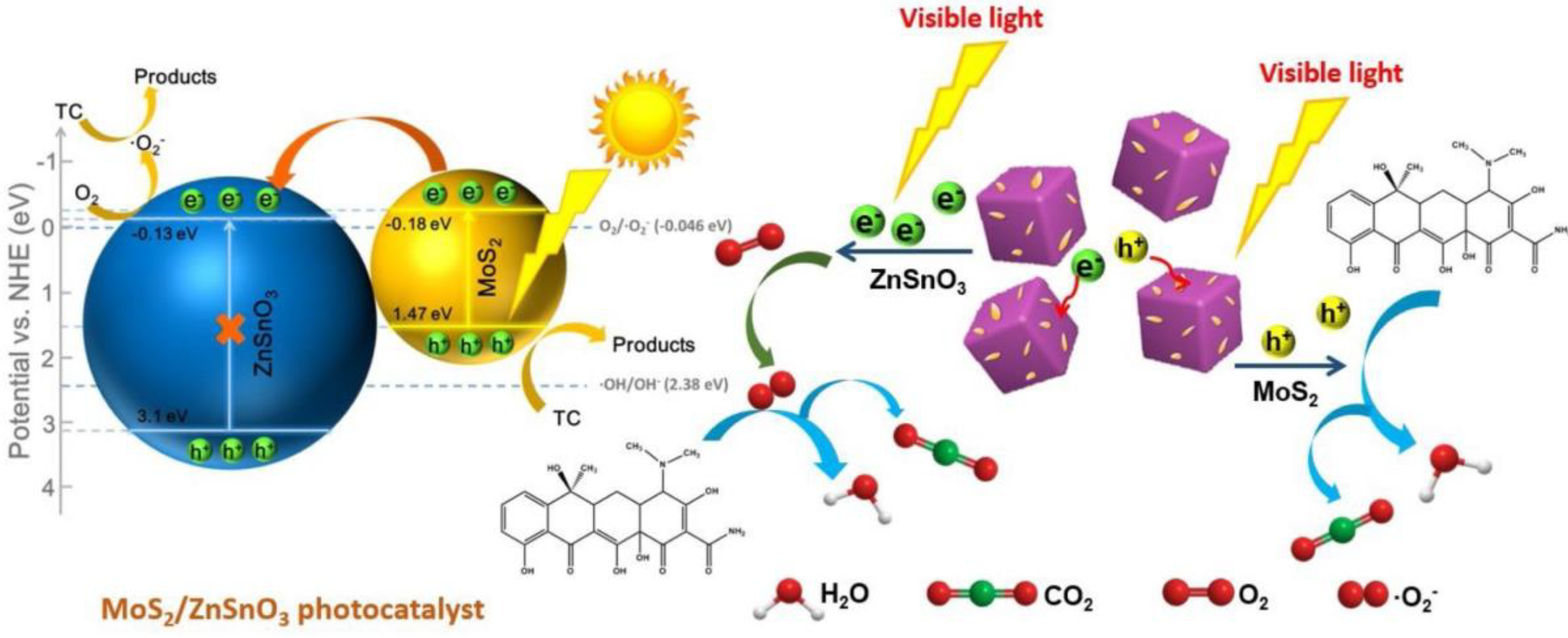 Nanomaterials 11 00572 g011