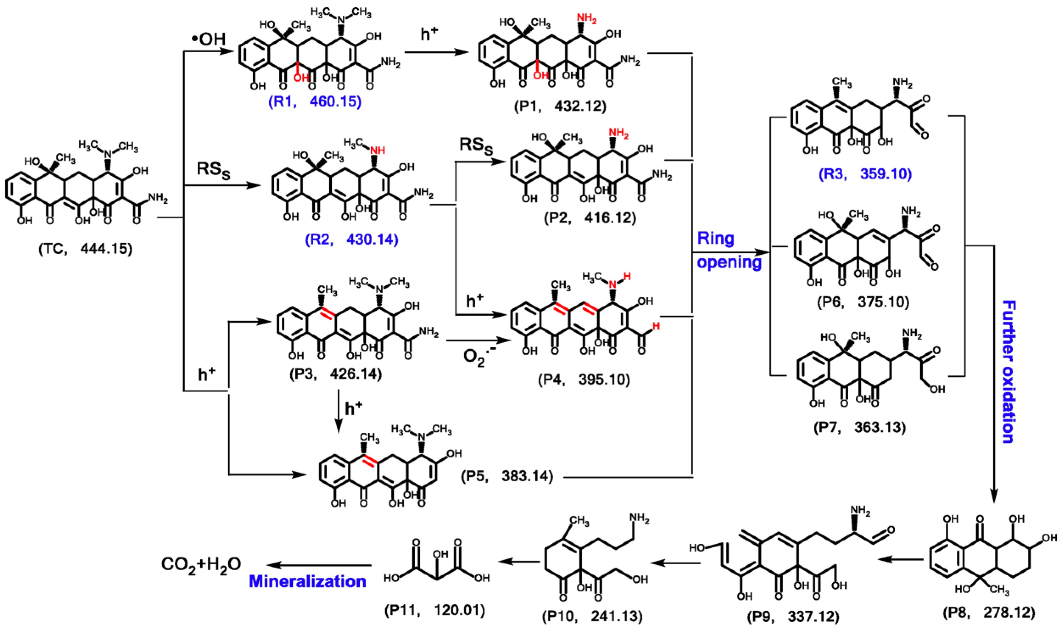 Nanomaterials 11 00572 g012