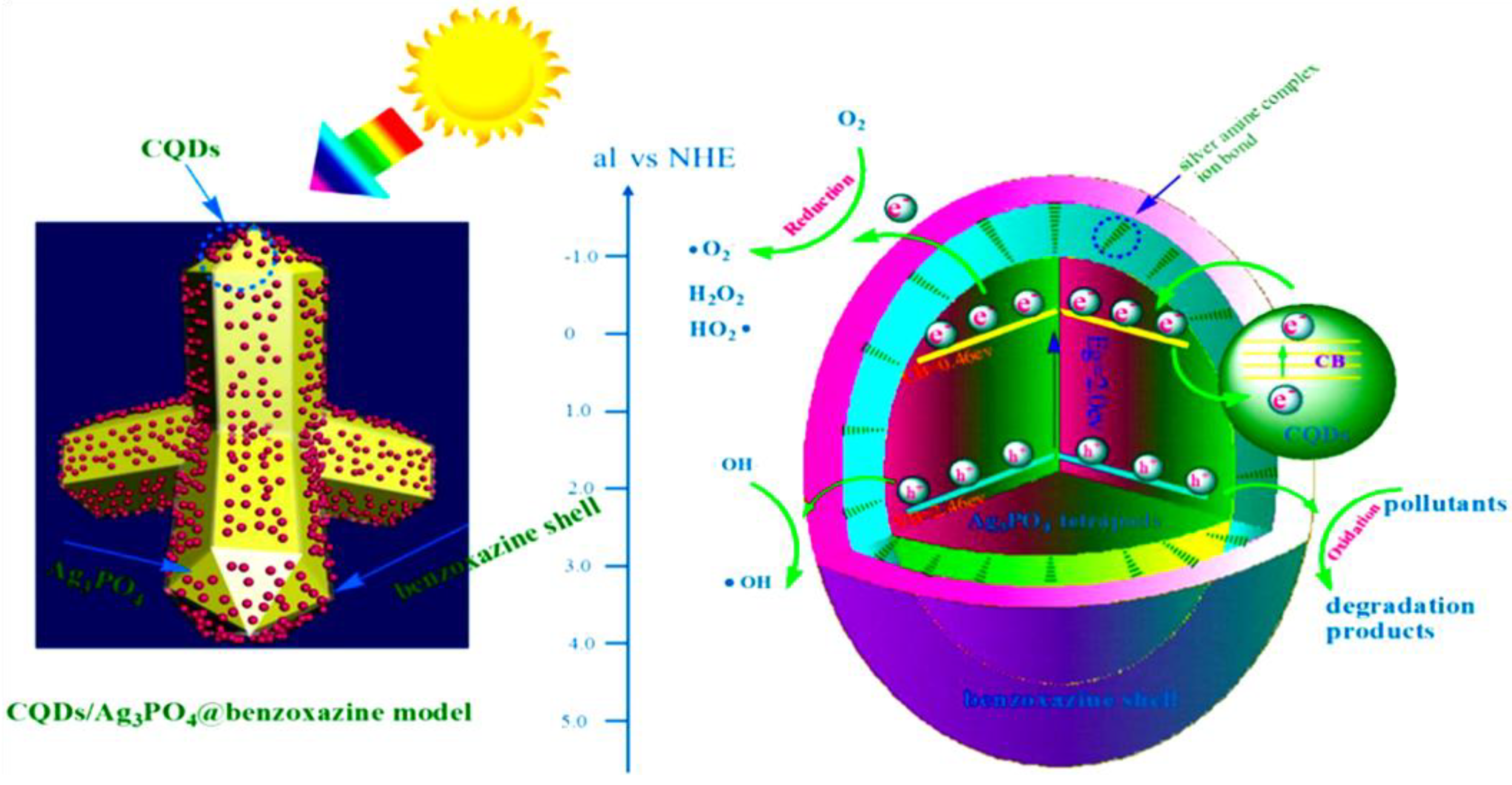 Nanomaterials 11 00572 g014