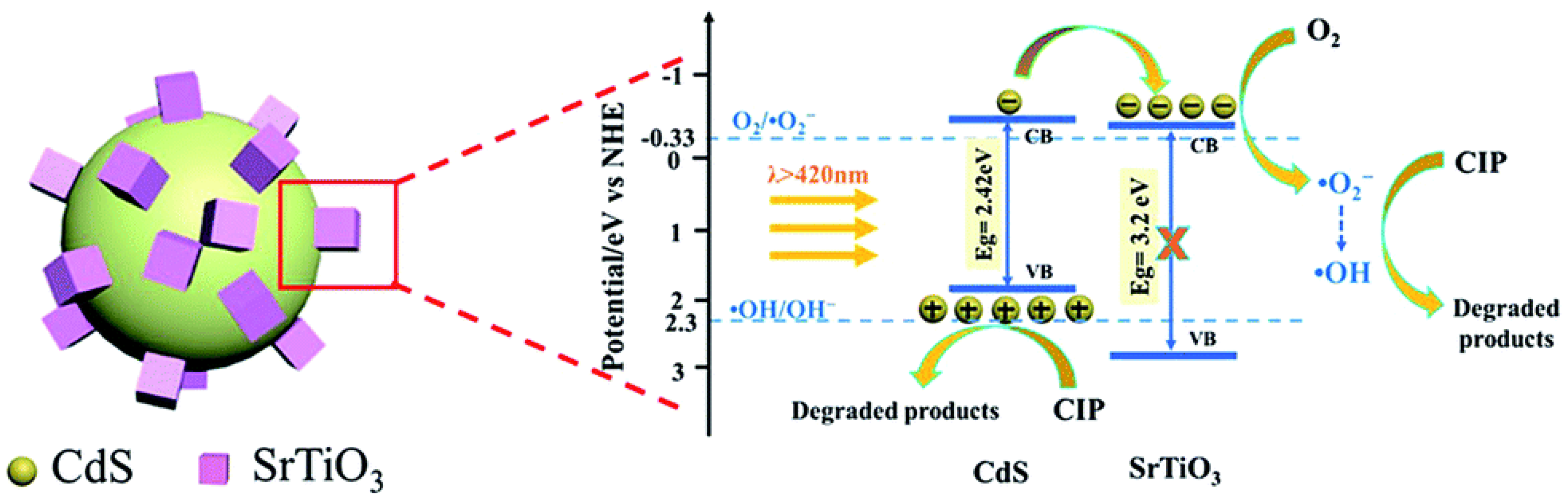 Nanomaterials 11 00572 g015