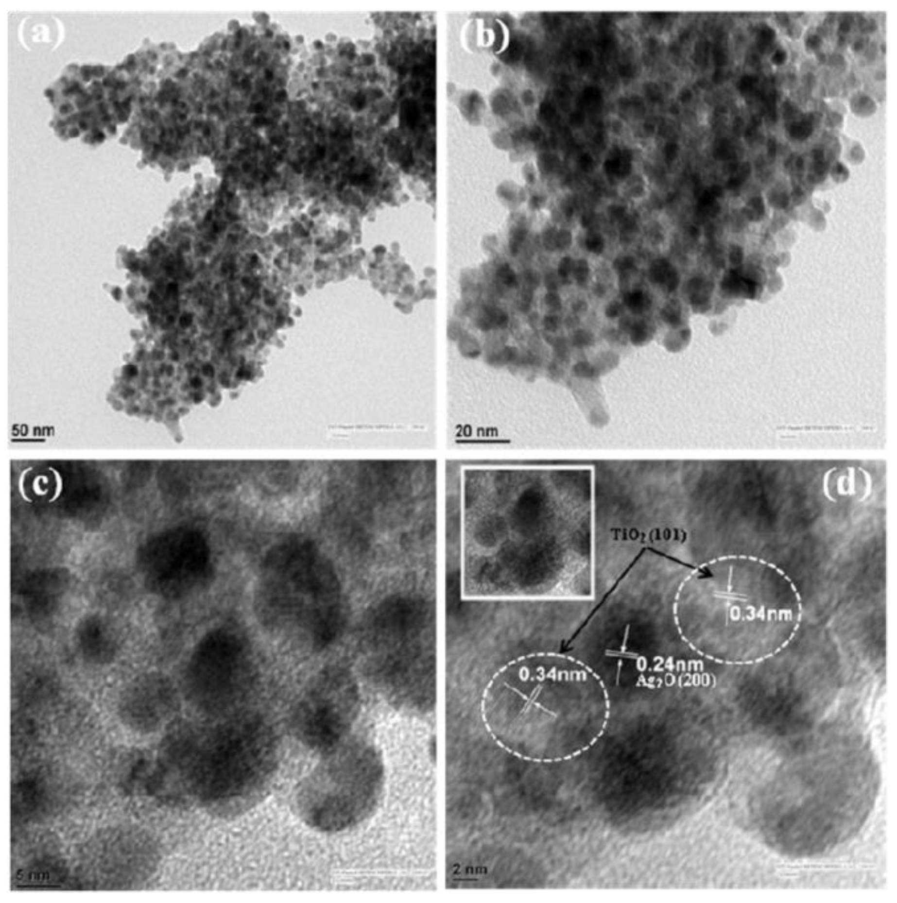 Nanomaterials 11 00572 g016