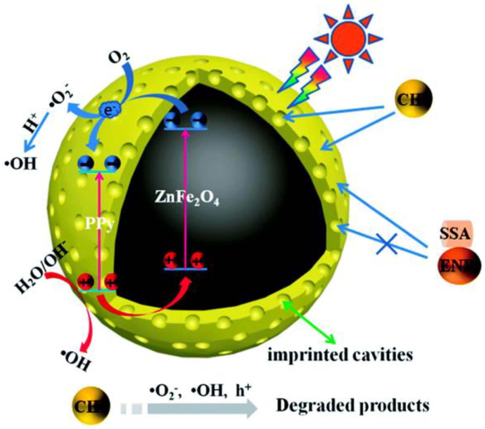 Nanomaterials 11 00572 g018