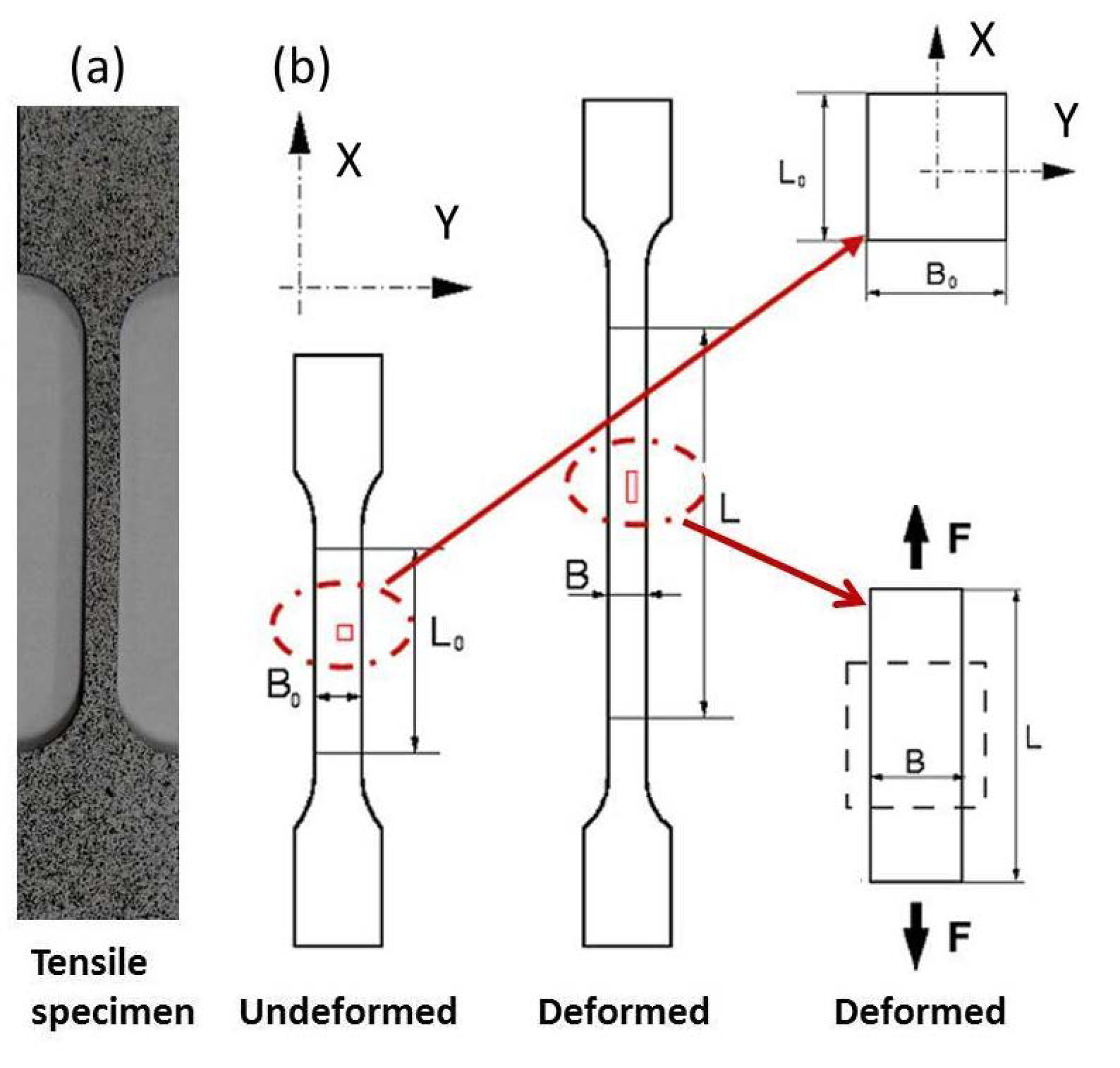 Nanomaterials 11 00574 g001 Nanomaterials 11 00574 g001