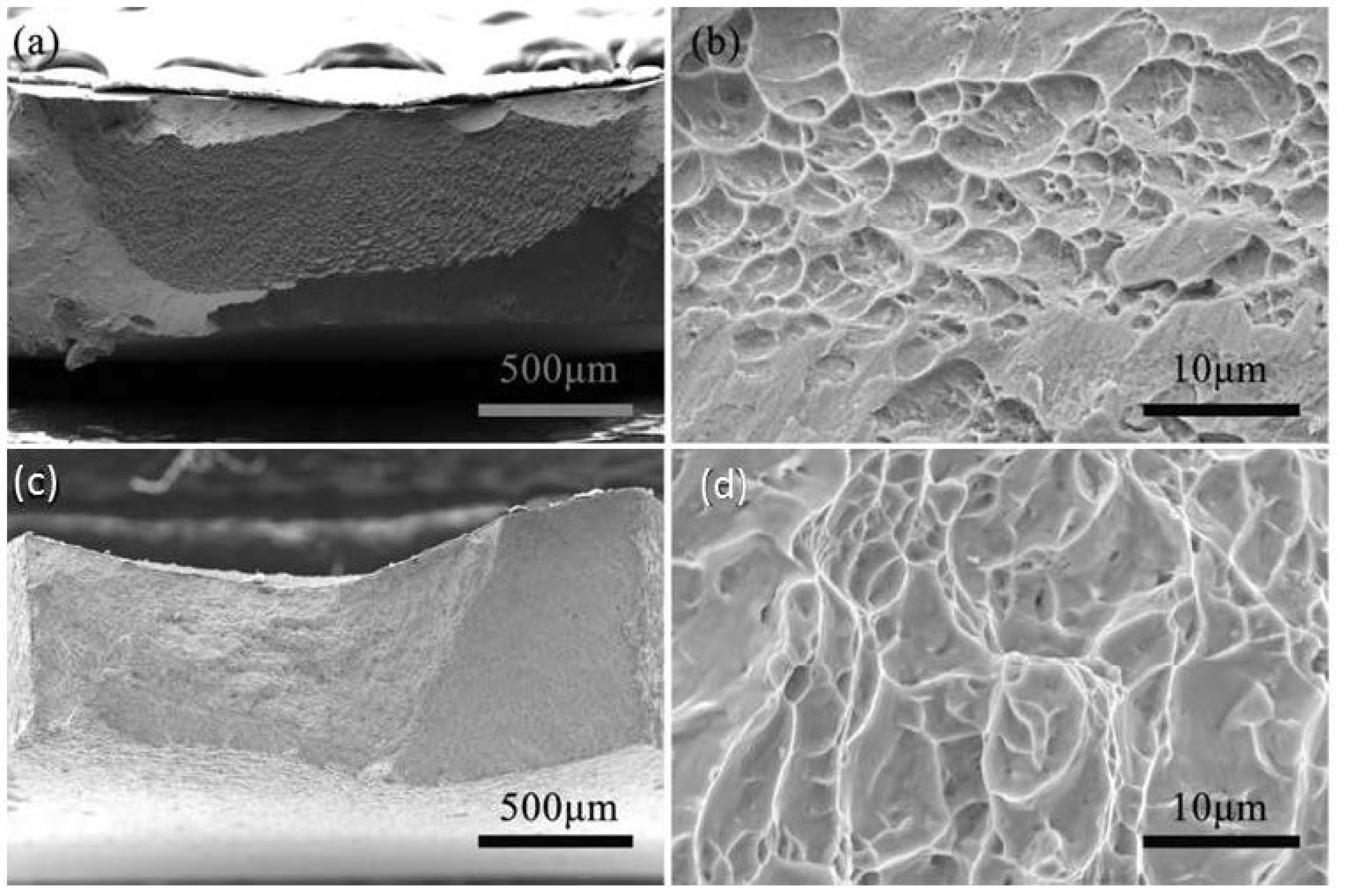 Nanomaterials 11 00574 g010 Nanomaterials 11 00574 g010