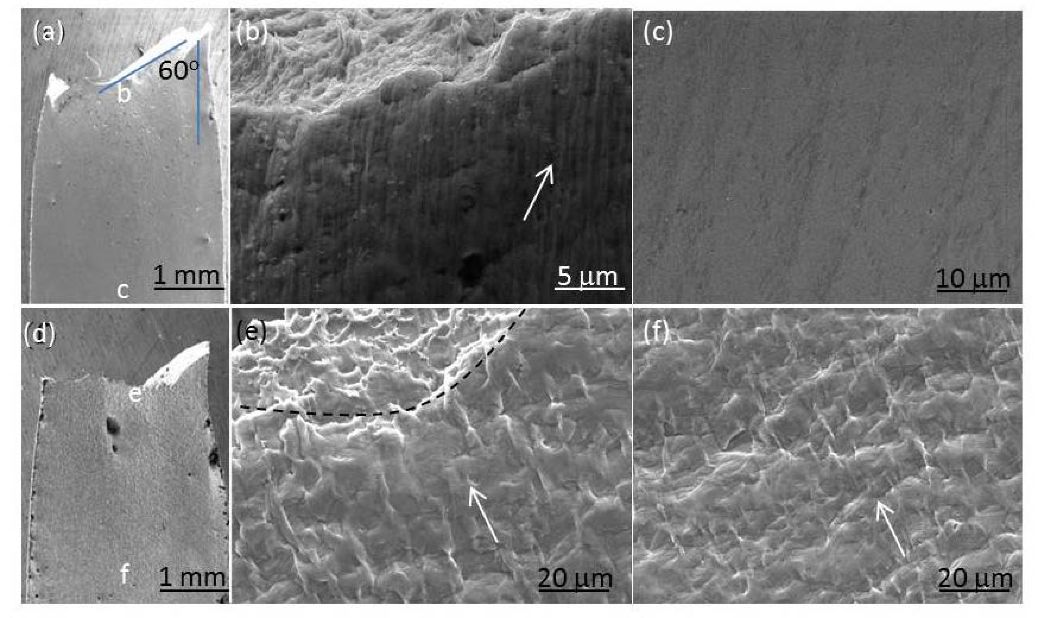 Nanomaterials 11 00574 g011 Nanomaterials 11 00574 g011