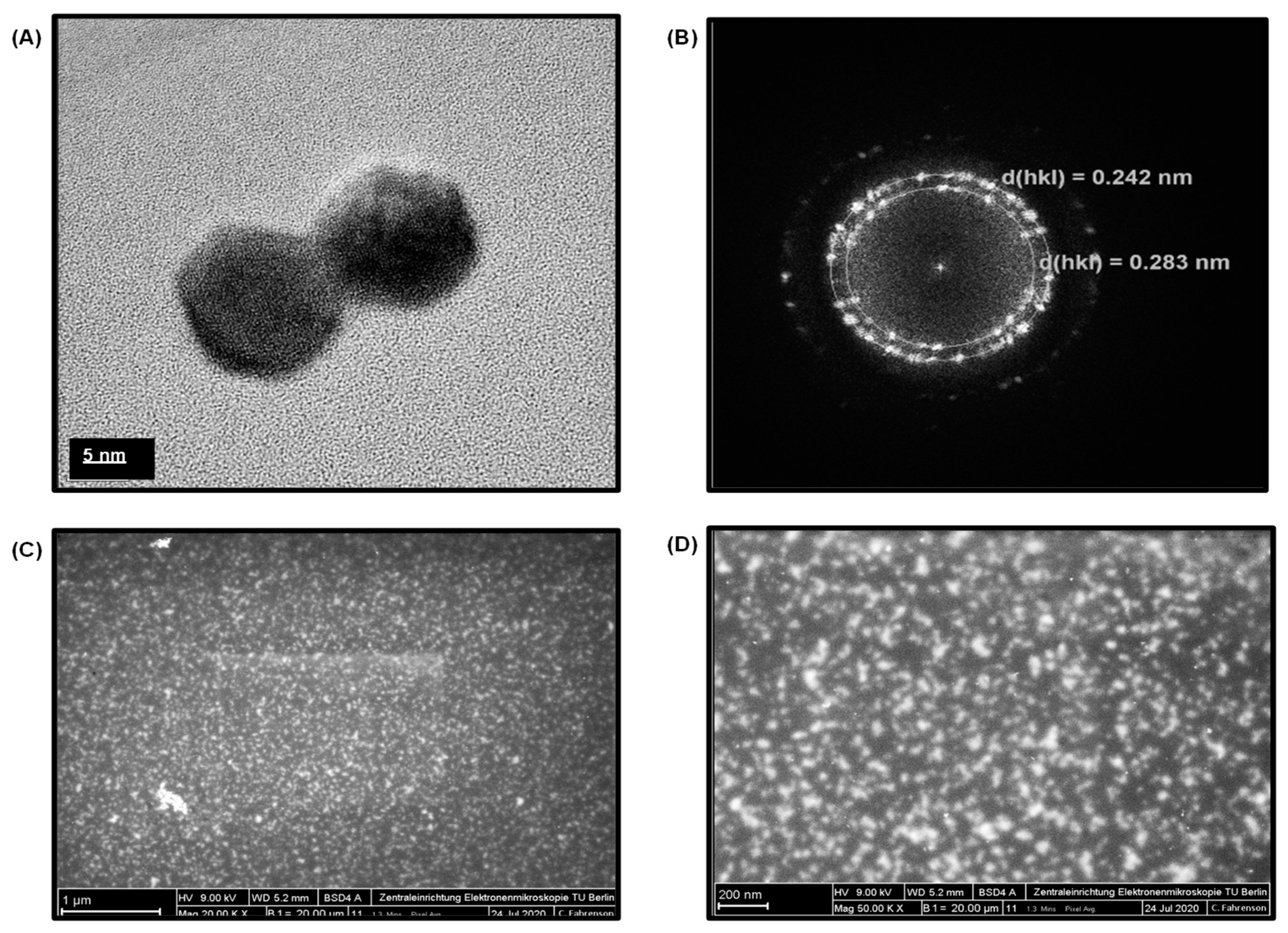 Nanomaterials 11 00578 g003 Nanomaterials 11 00578 g003