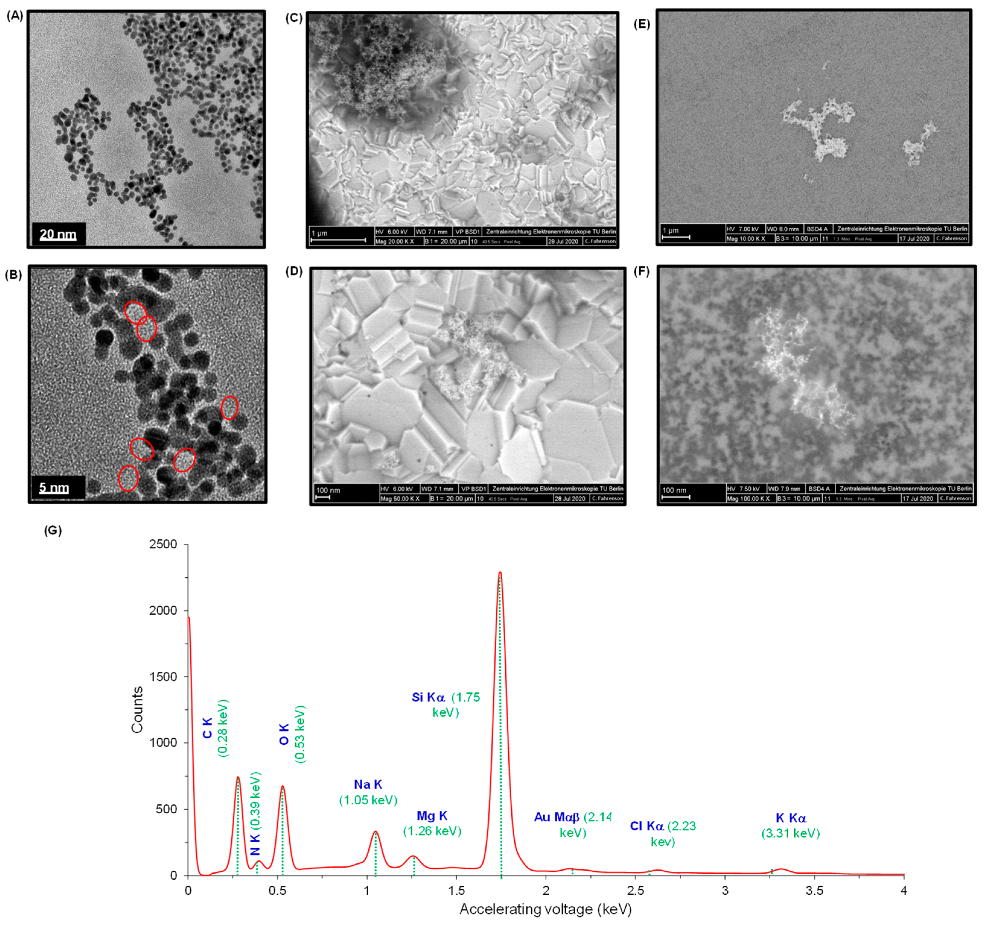 Nanomaterials 11 00578 g004 Nanomaterials 11 00578 g004