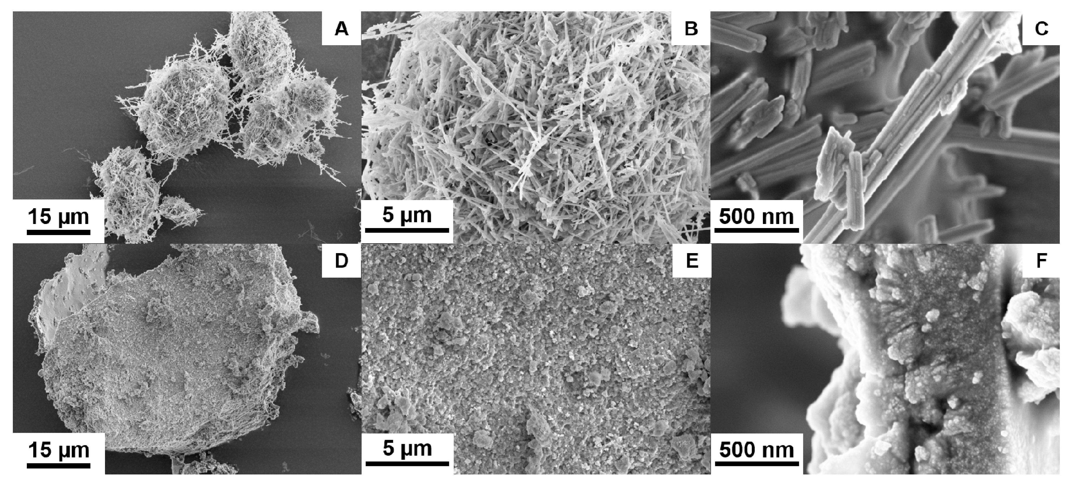 Nanomaterials 11 00580 g006