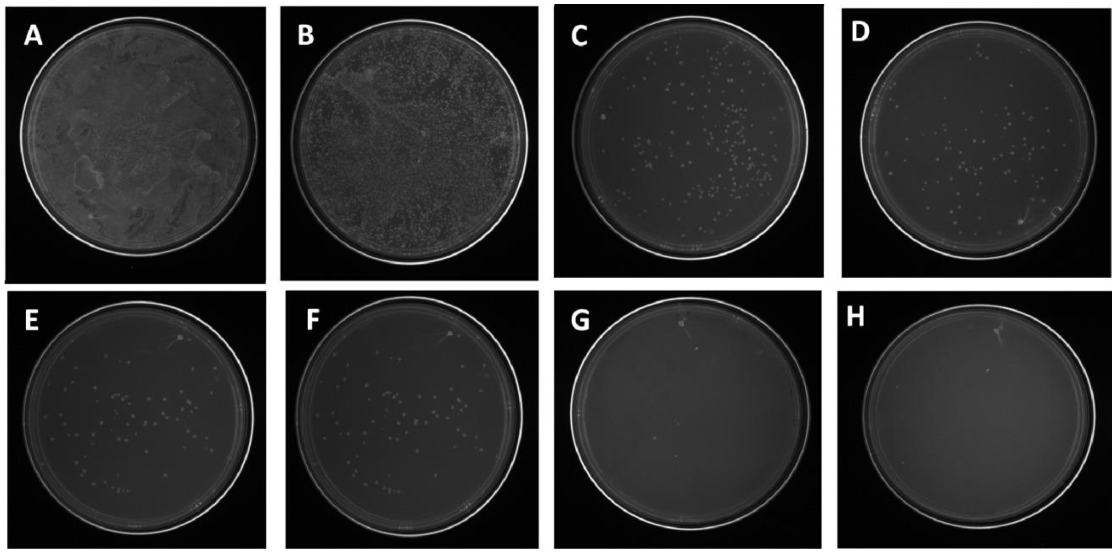 Nanomaterials 11 00581 g005