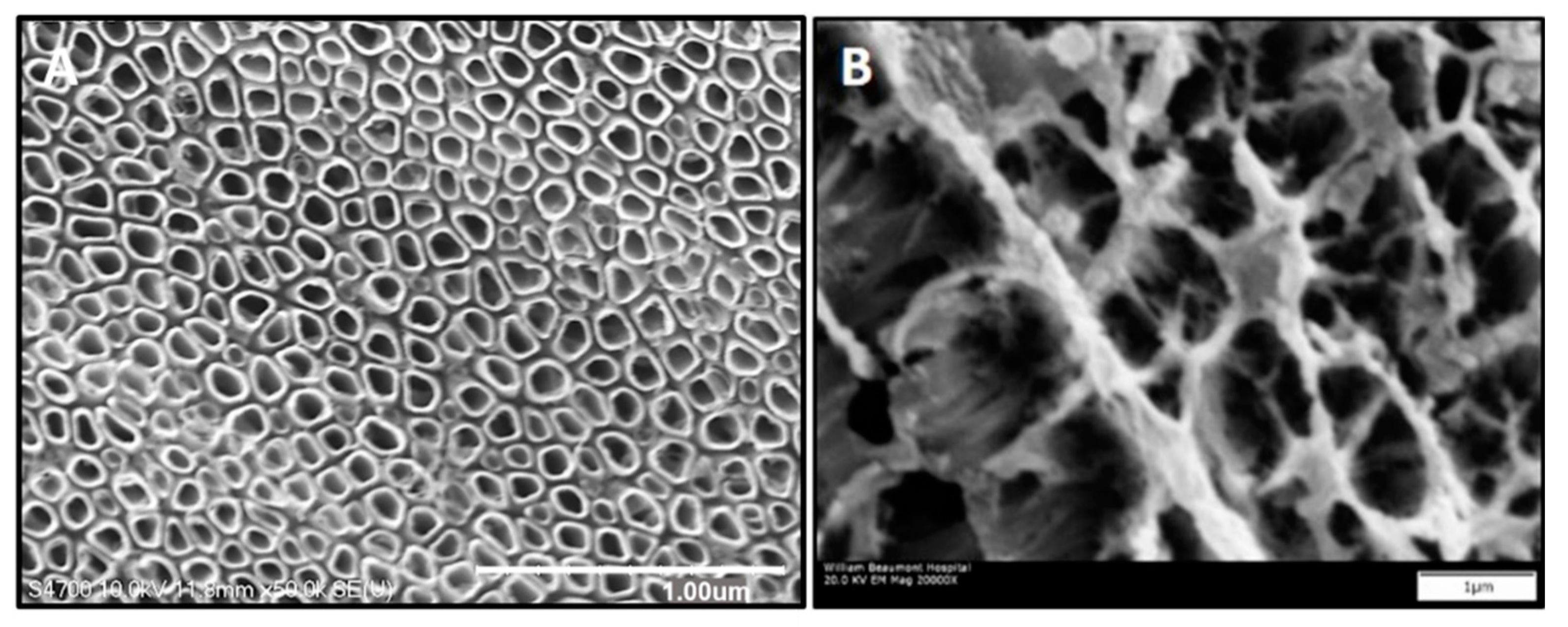 Nanomaterials 11 00583 g001