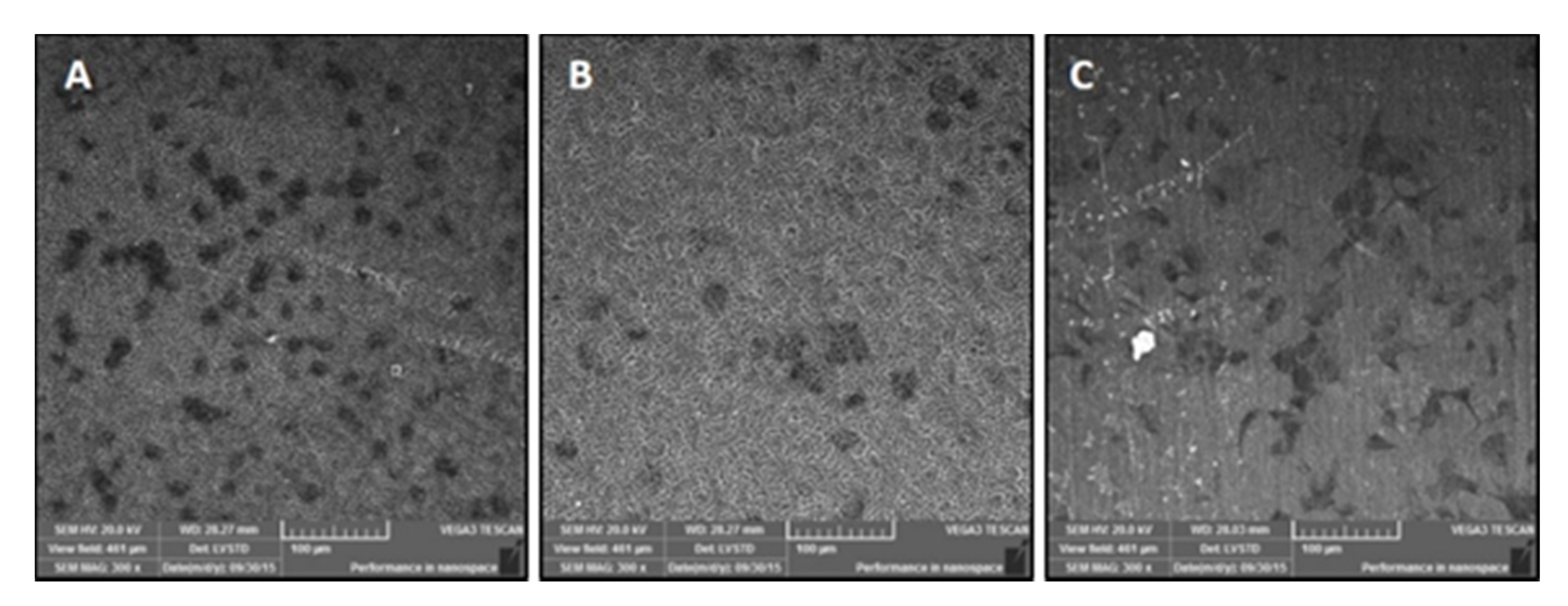 Nanomaterials 11 00583 g004