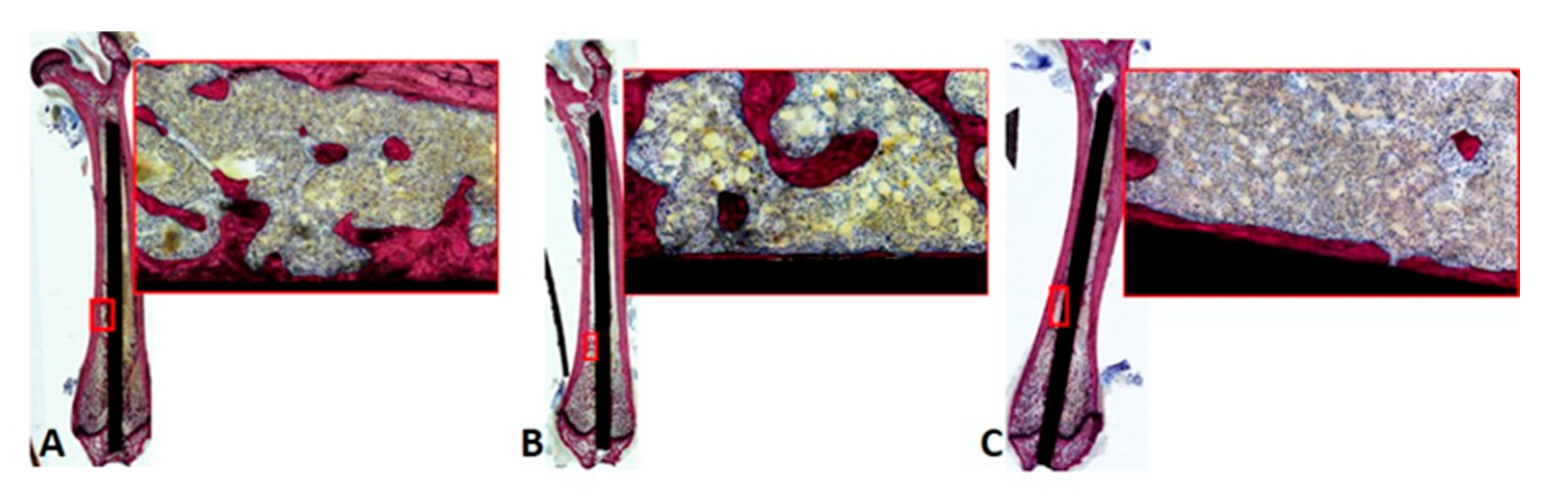 Nanomaterials 11 00583 g007