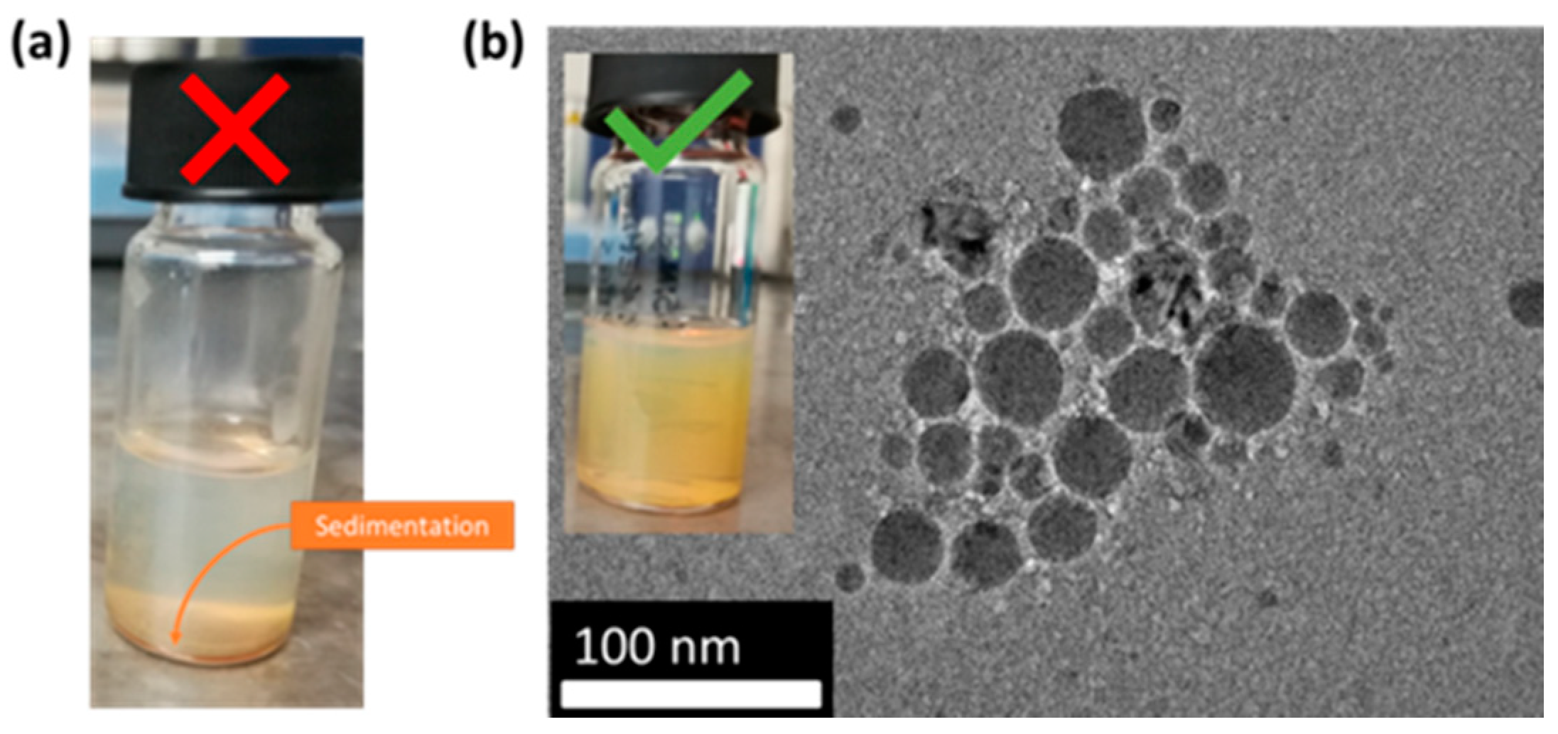 Nanomaterials 11 00592 g003 Nanomaterials 11 00592 g003