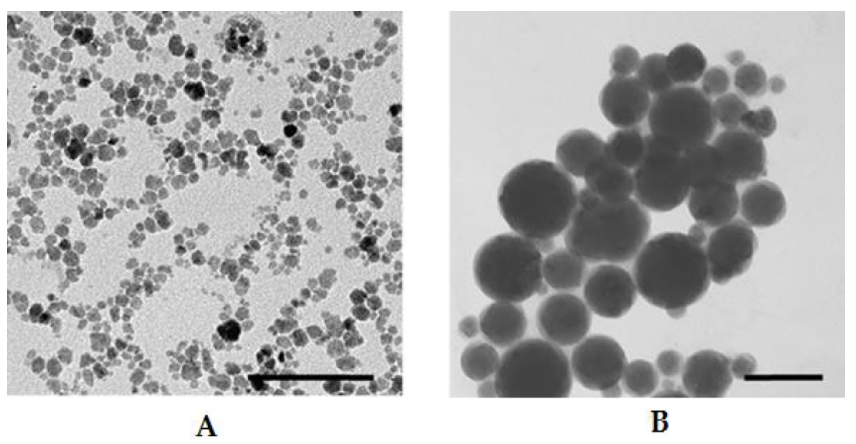 Nanomaterials 11 00593 g006 Nanomaterials 11 00593 g006