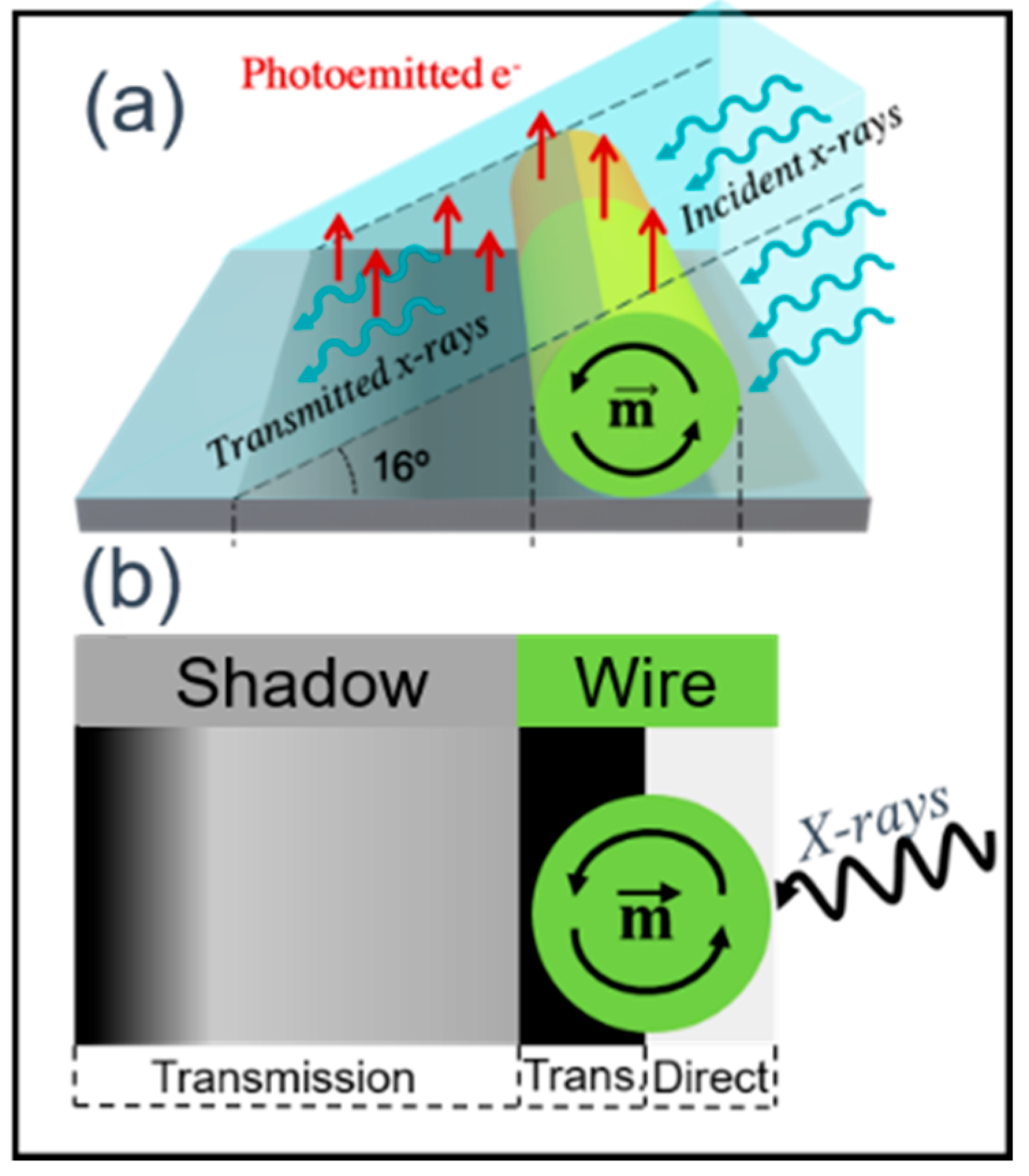Nanomaterials 11 00600 g004