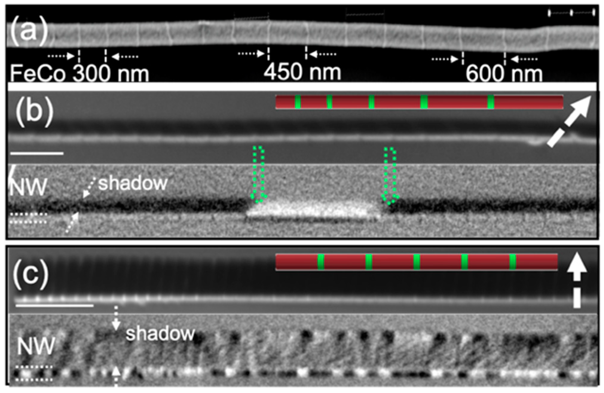 Nanomaterials 11 00600 g011
